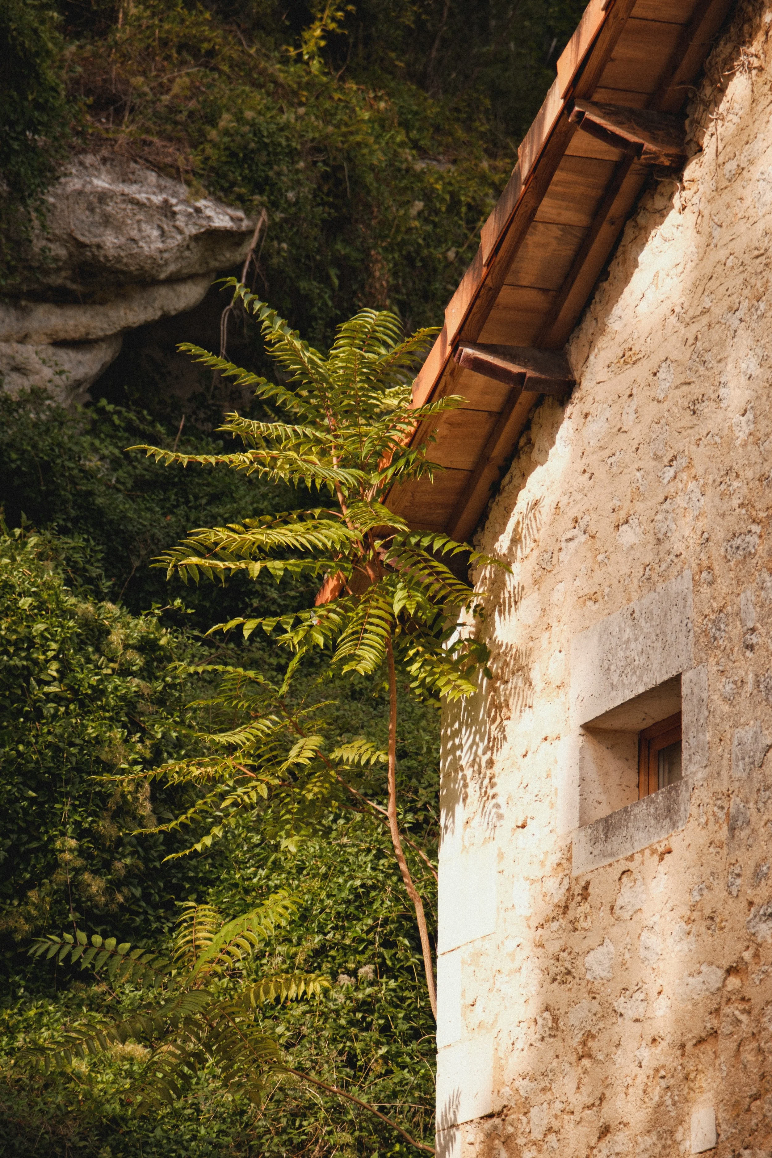 photo-gite-maison-fontbelle-nouvelle-aquitaine-8.jpg