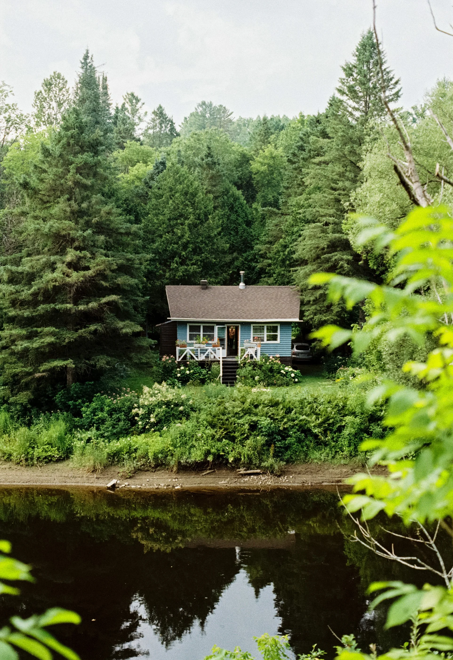 Une maison dans une forêt verdoyante avec un étang ou une rivière en premier plan.