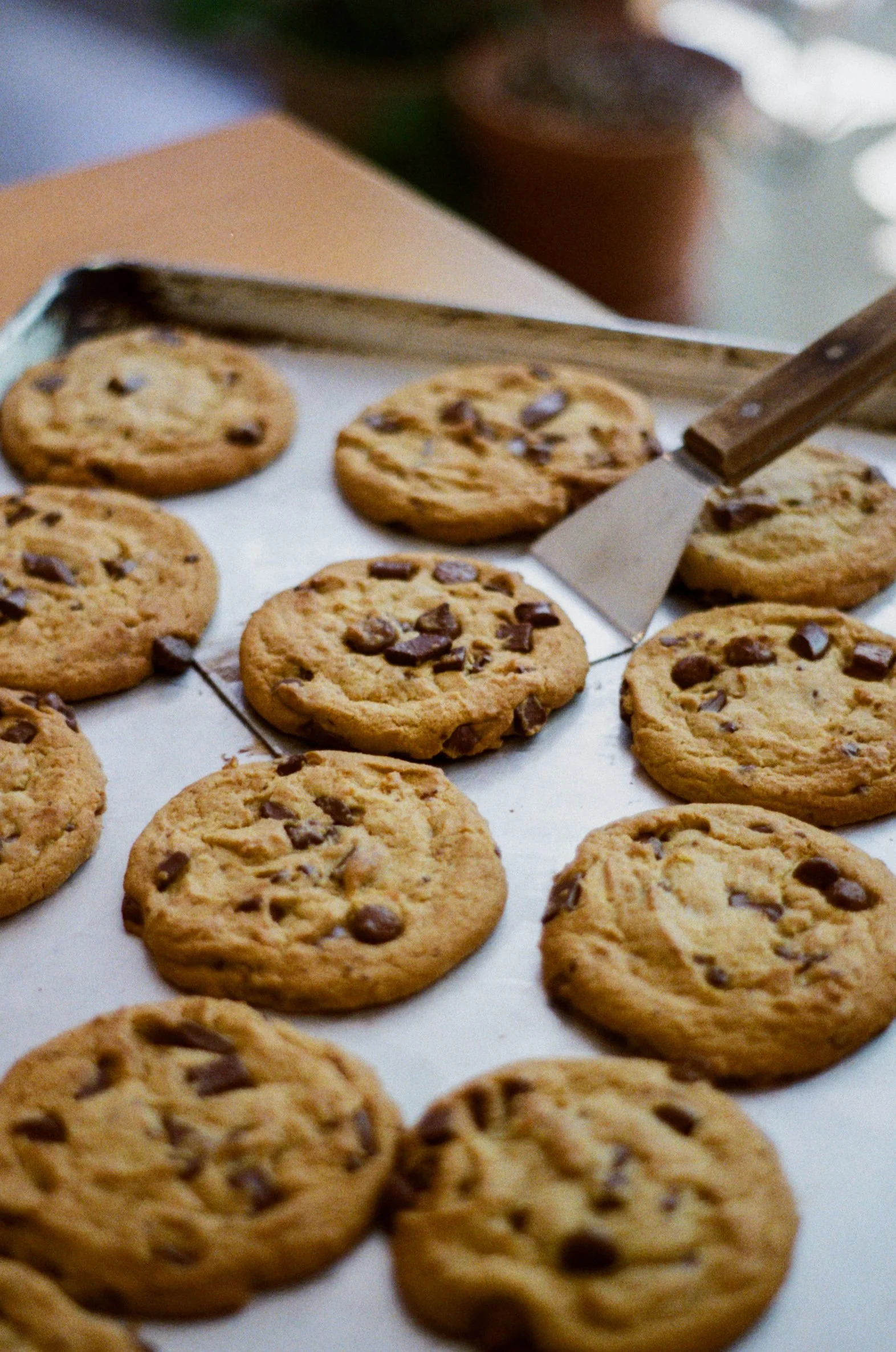 Cookies aux pépites de chocolat fraîchement sortis du four, déposés sur une plaque en papier cuisson