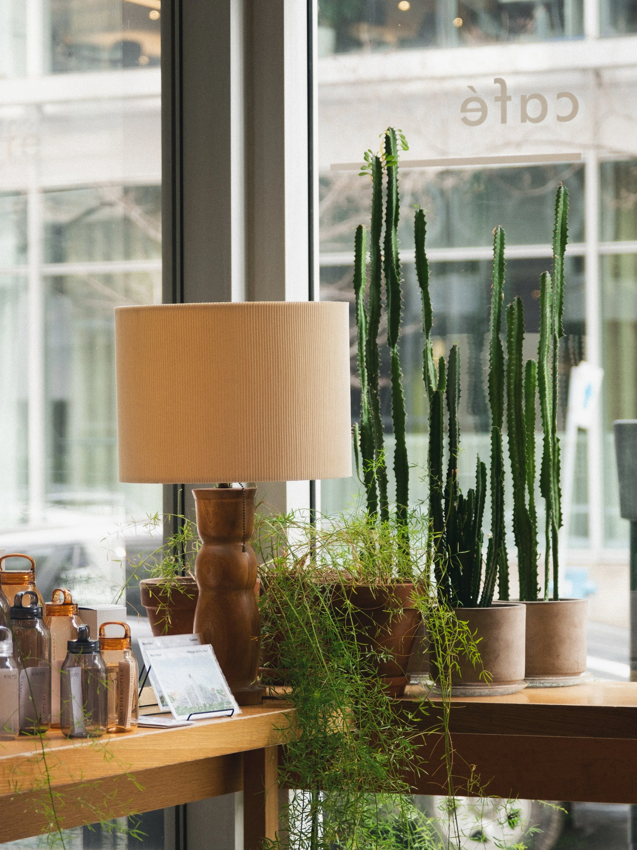 Une fenêtre avec des plantes en pots, comprenant un cactus et d'autres plantes vertes, ainsi qu'une lampe de table en bois et quelques bouteilles sur une étagère en bois.