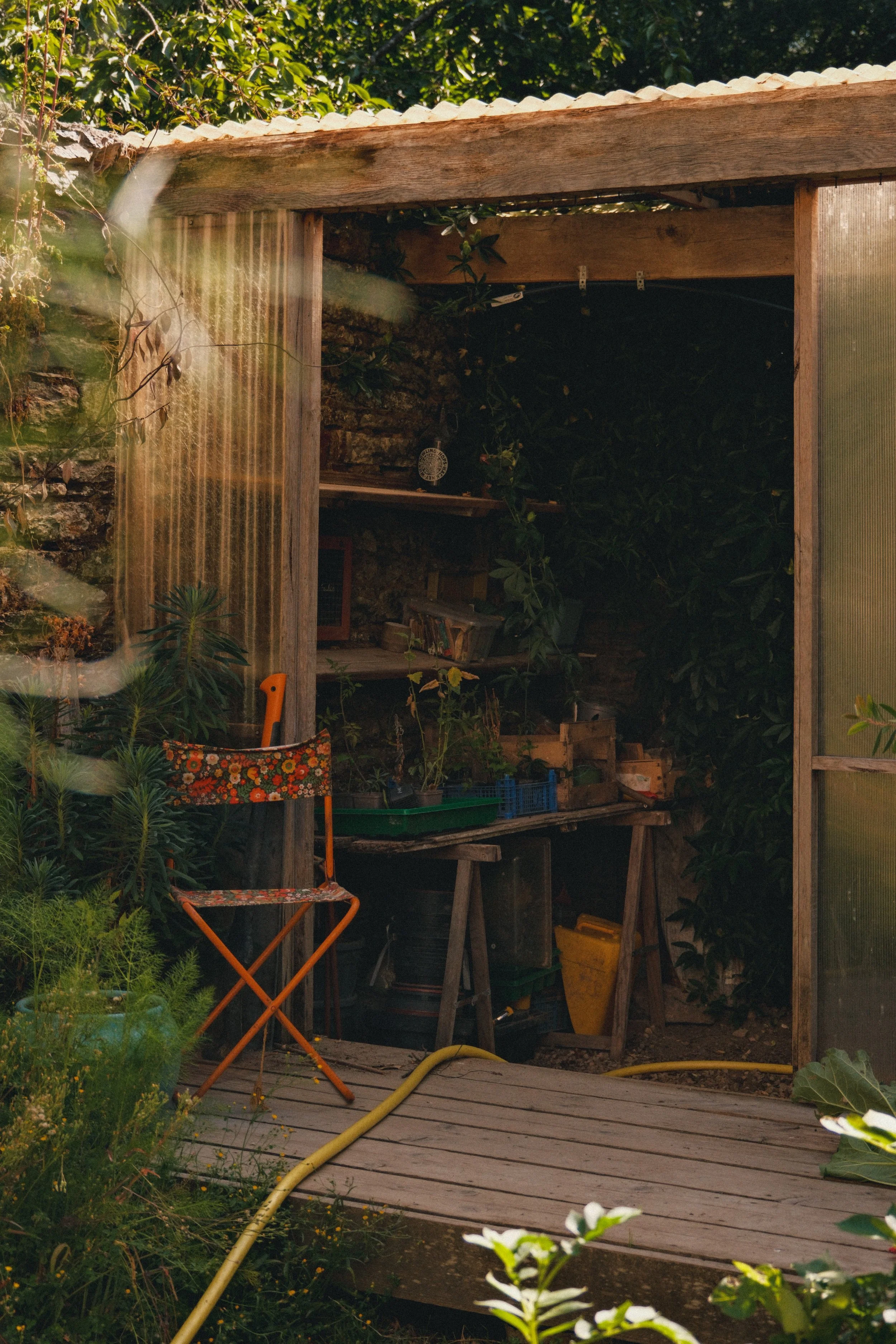 Une serre en bois avec un toit en tôle, entourée de plantes et de buissons, avec une chaise pliante à motifs floraux devant.