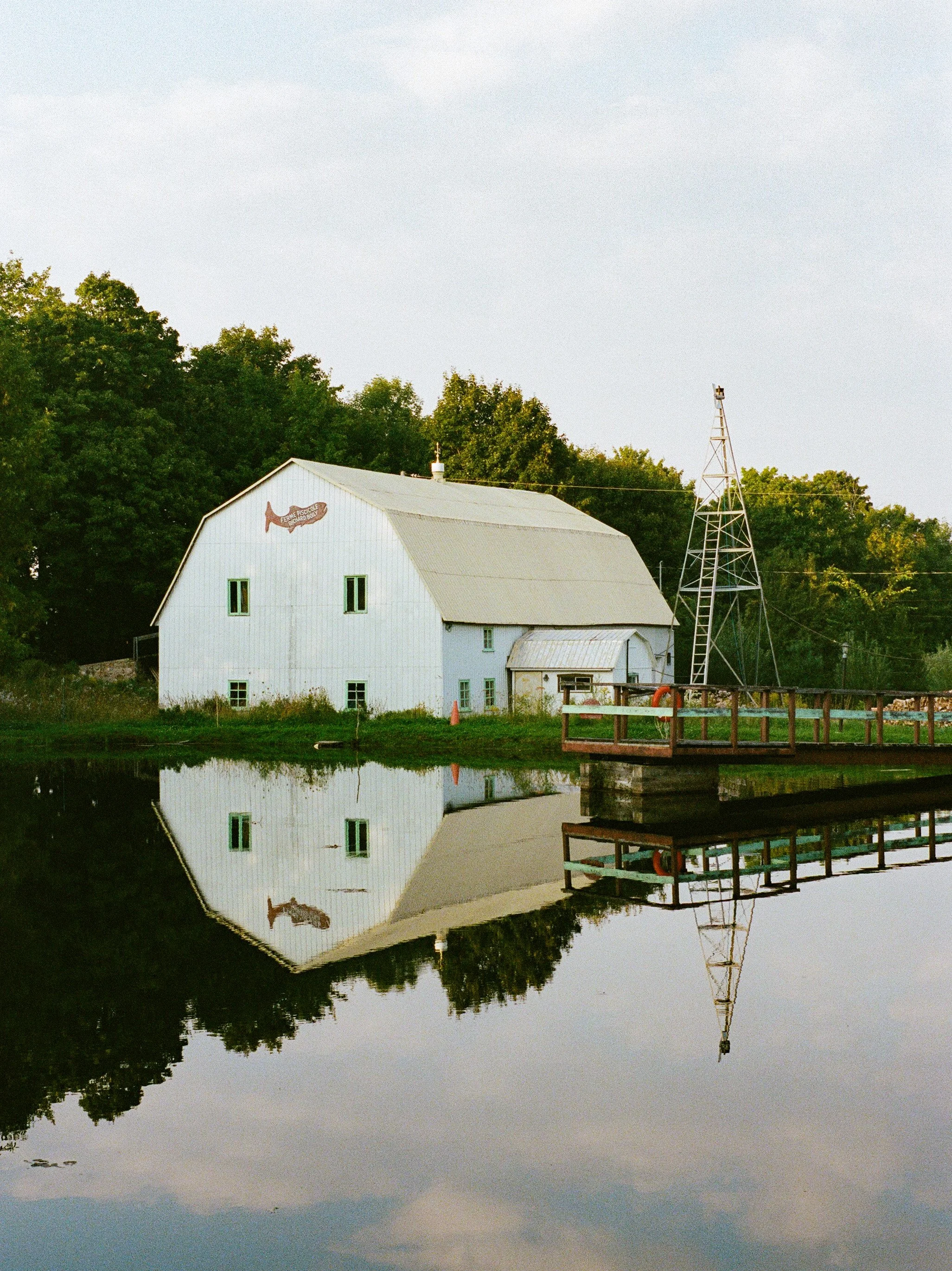 Une ferme blanche avec un toit en métal et un panneau en forme de poisson indiquant « Ferme Disque Richard Boulé ». Il y a une tours d'électricité à côté et un plan d'eau en réflexion devant la ferme, entouré d'arbres verts.