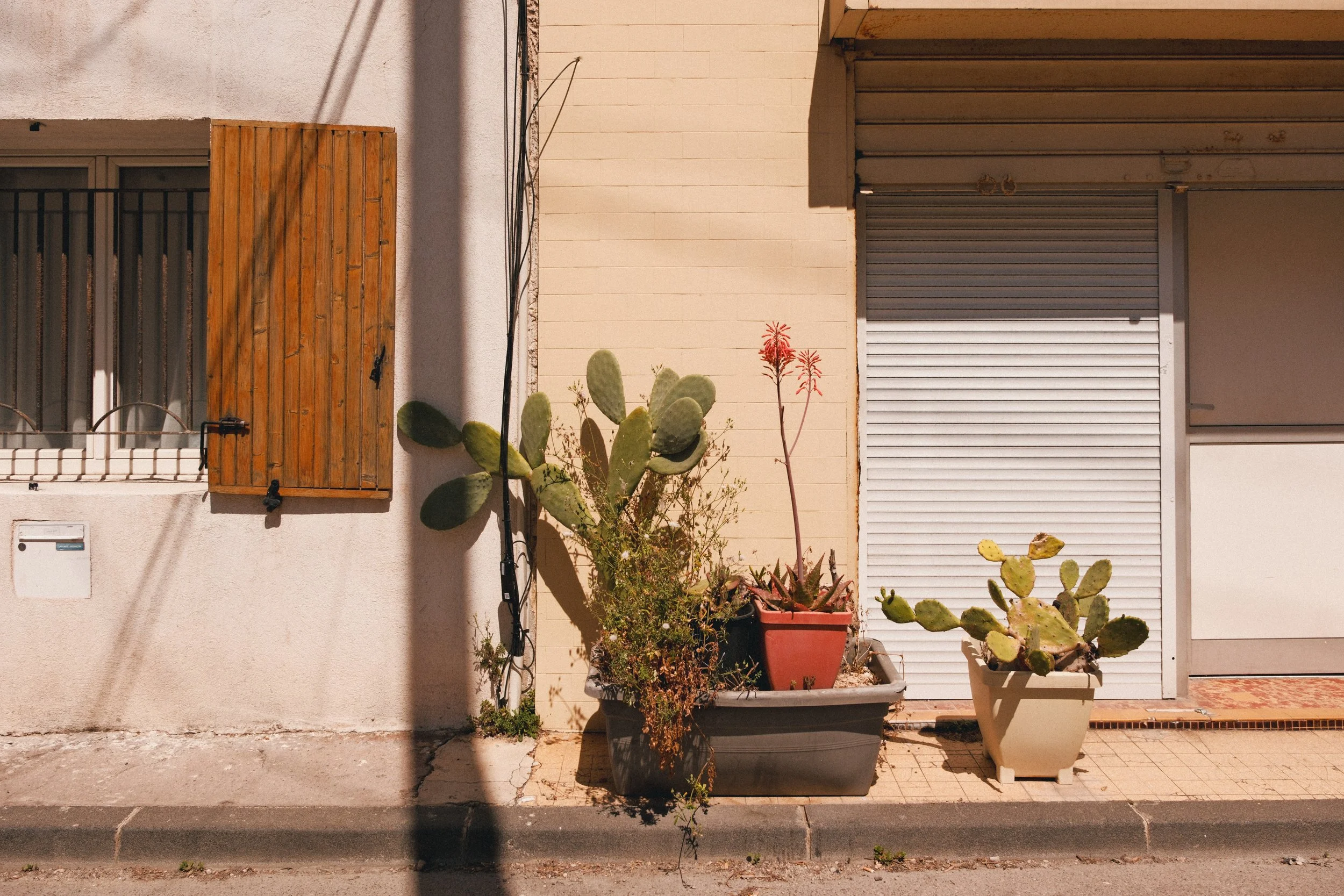 Facade de bâtiment avec fenêtres, volets en bois, volet roulant gris, plantes en pot dont un cactus, et un mur beige.