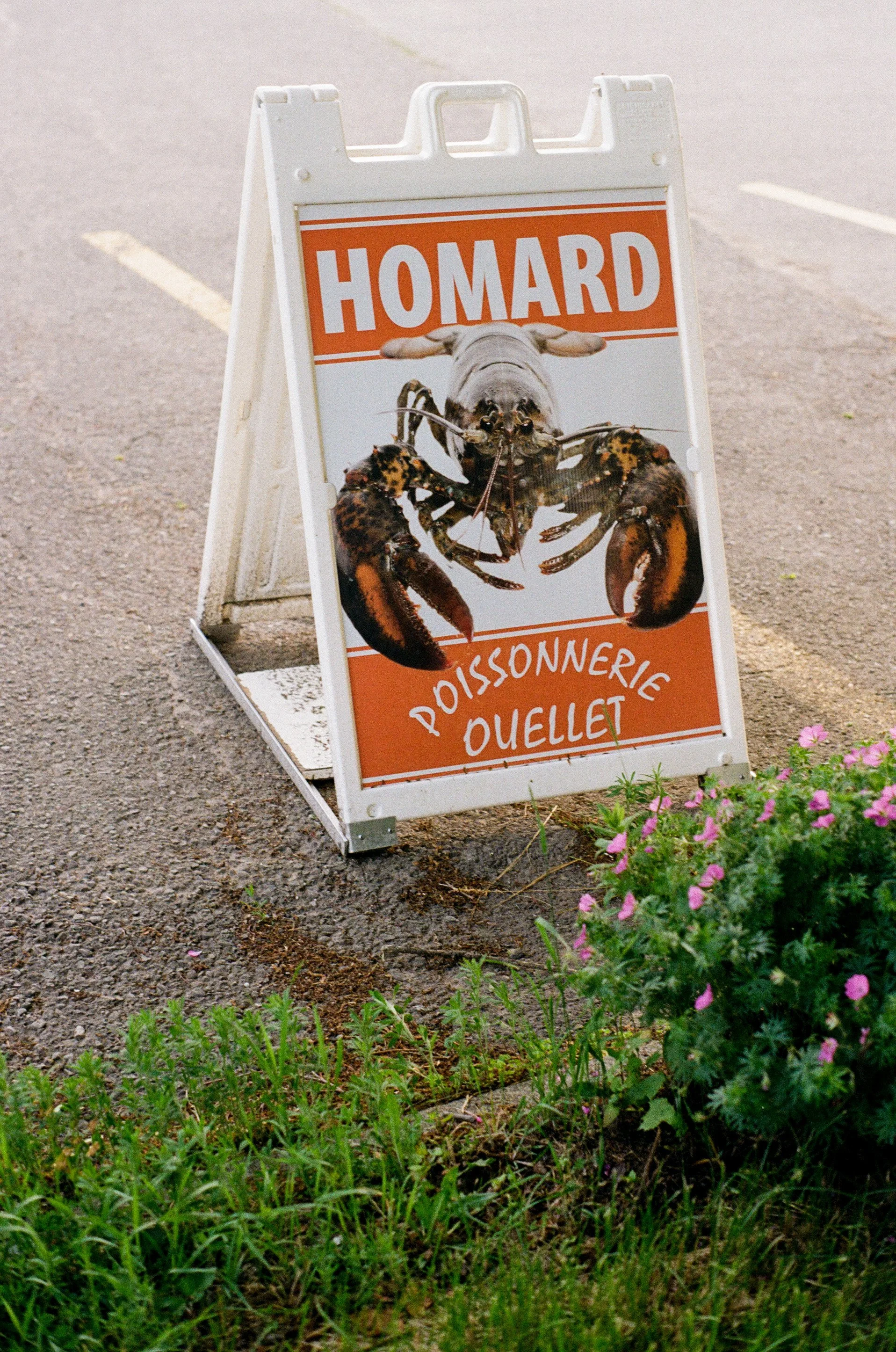  un panneau publicitaire avec une image d'une homard sur fond blanc et texte en français mentionnant la poissonnerie et la vente de homard