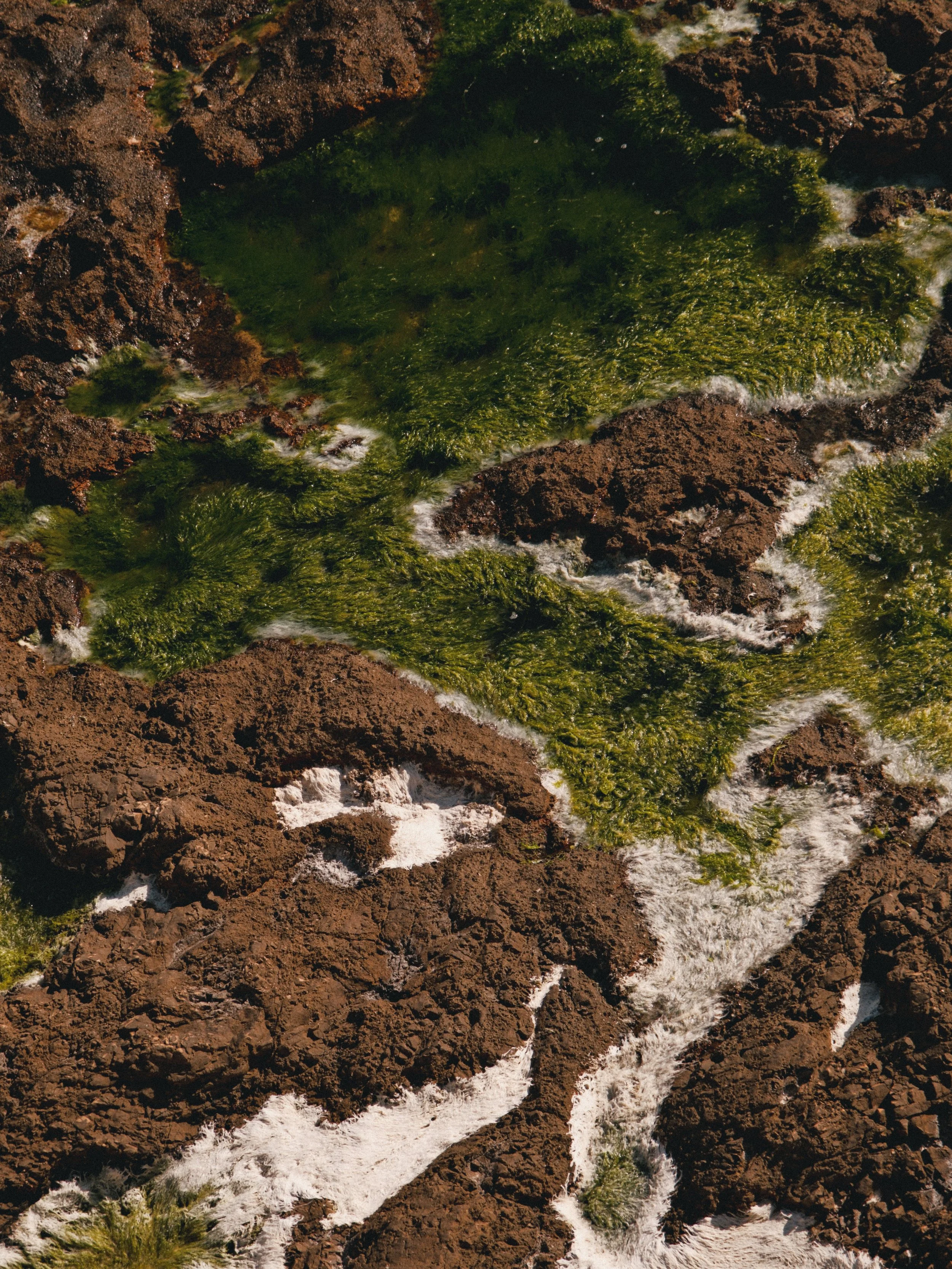 Cliché aérien d'une cascade ou torrent avec des eaux blanches qui coule sur des roches sombres et recouvertes de zones de mousse ou végétation verte dans un environnement naturel.