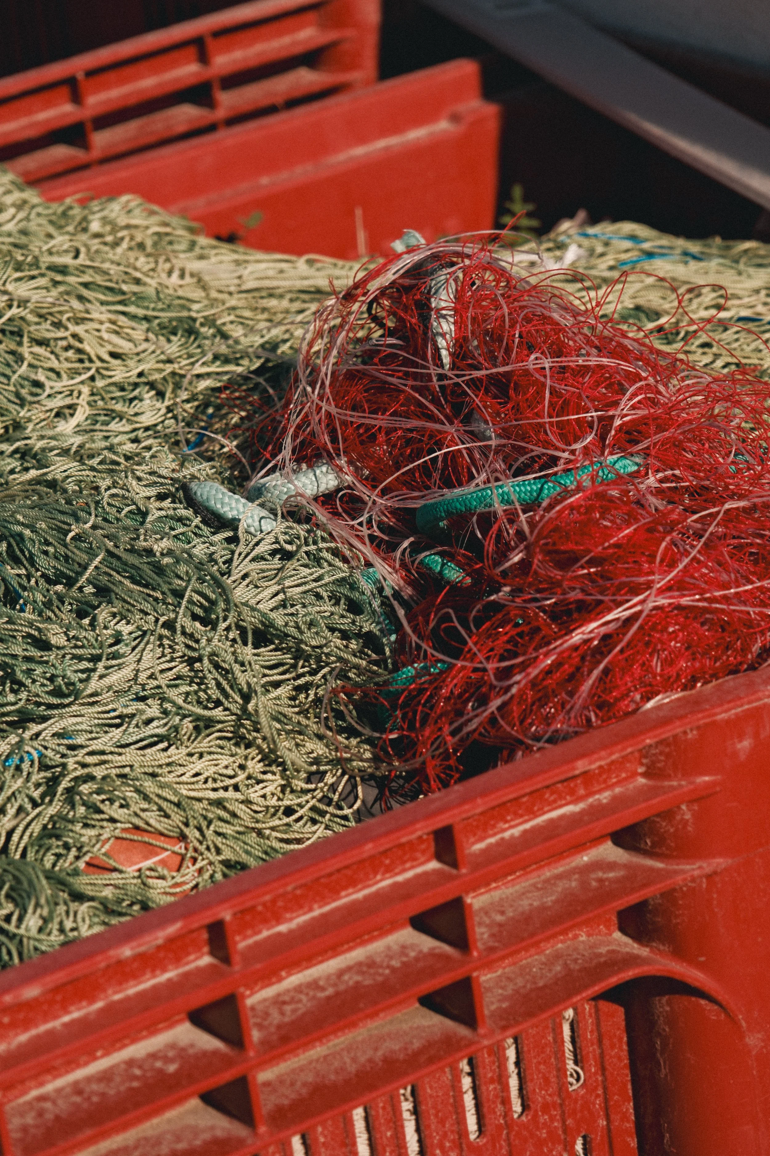 Une caisse en plastique contenant des cordages et des filets de pêche. Une partie est enroulée de corde beige, une autre enroulée de ficelles rouges et vertes.