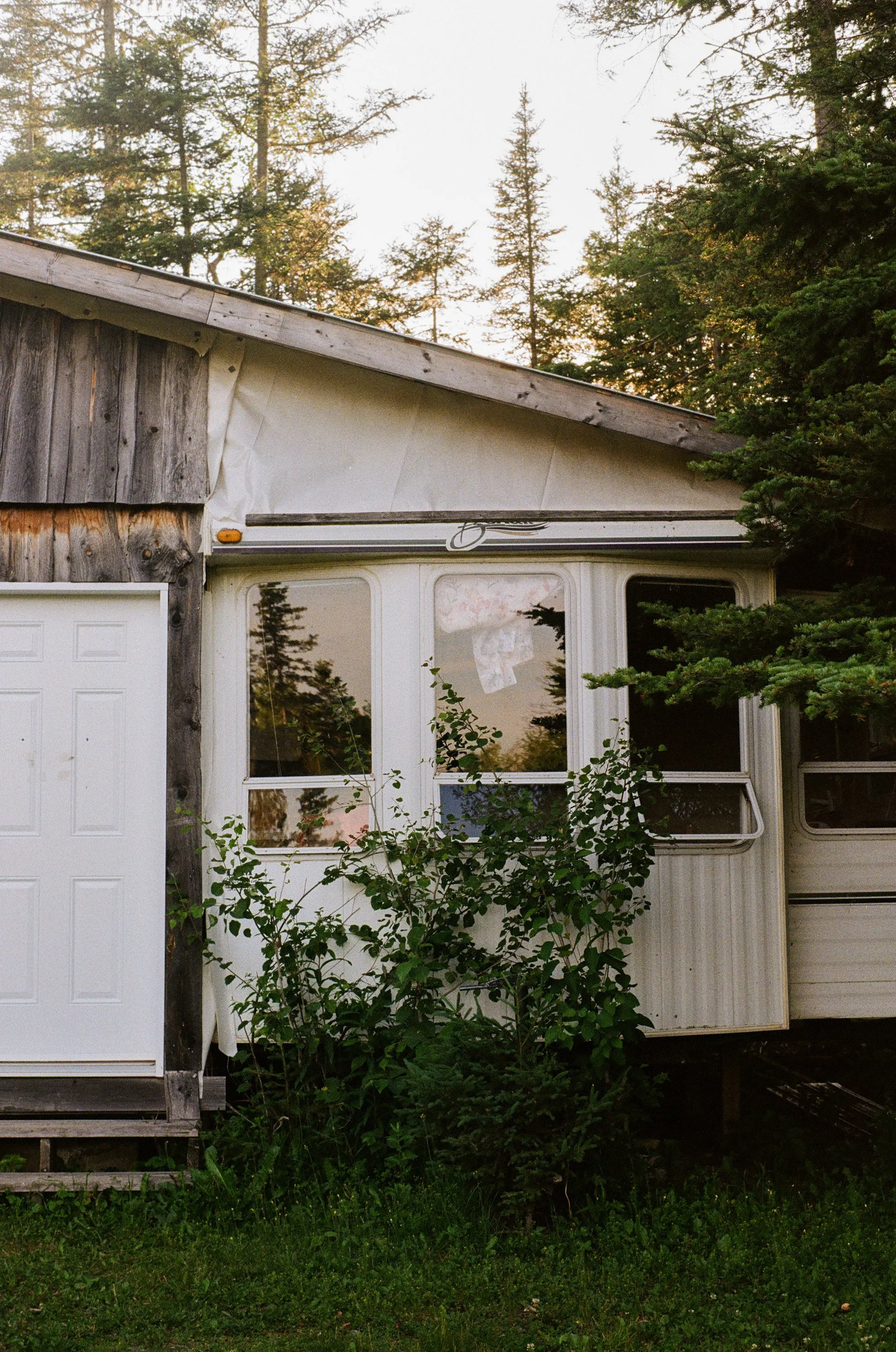 Une vieille cabane en bois entourée d'arbres et d'arbuste, avec une porte de garage et plusieurs fenêtres.