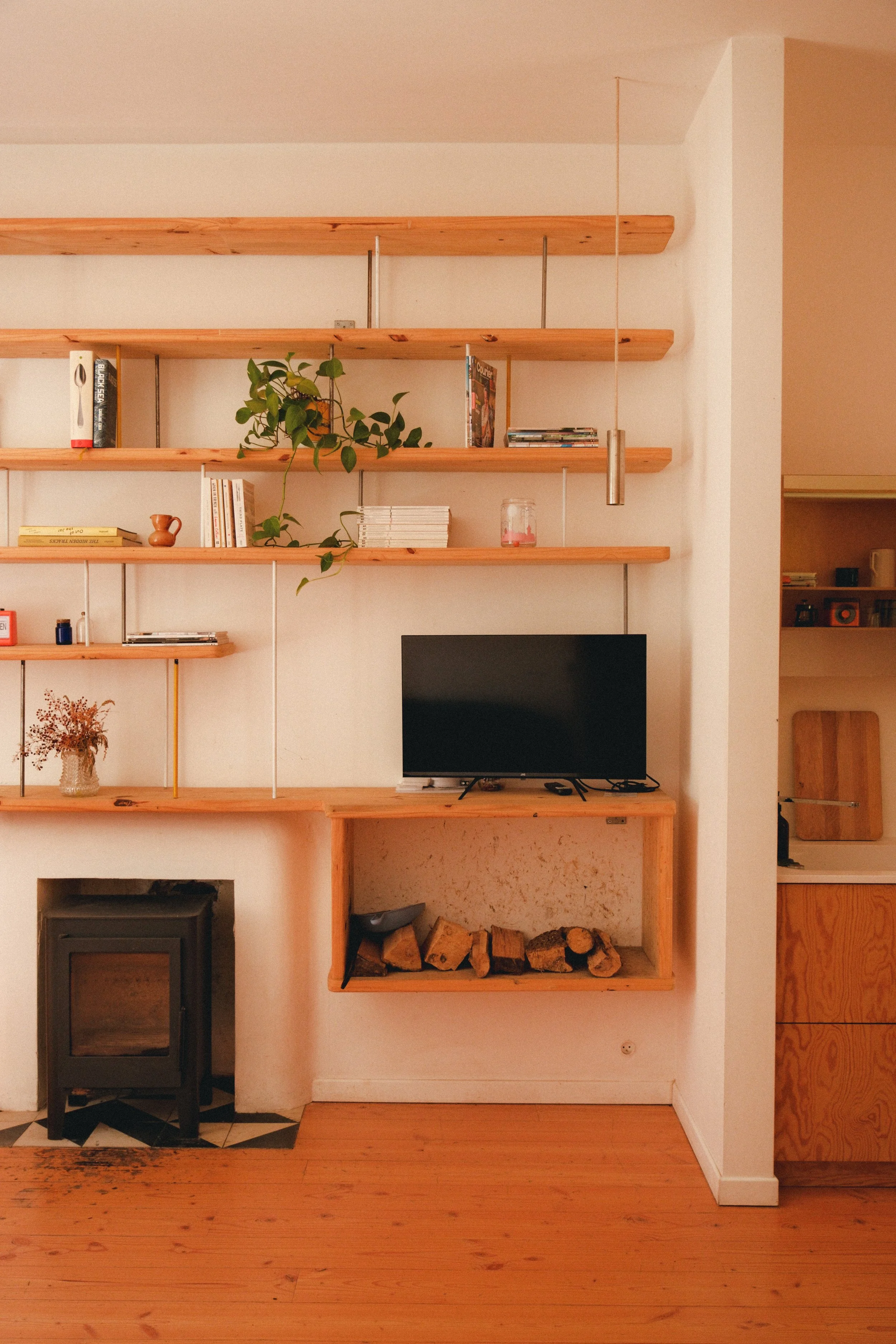 Étagères en bois avec livres, plantes, bougie, et décoration, cheminée avec bois de chauffage, télévision, lampe suspendue, sol en bois.