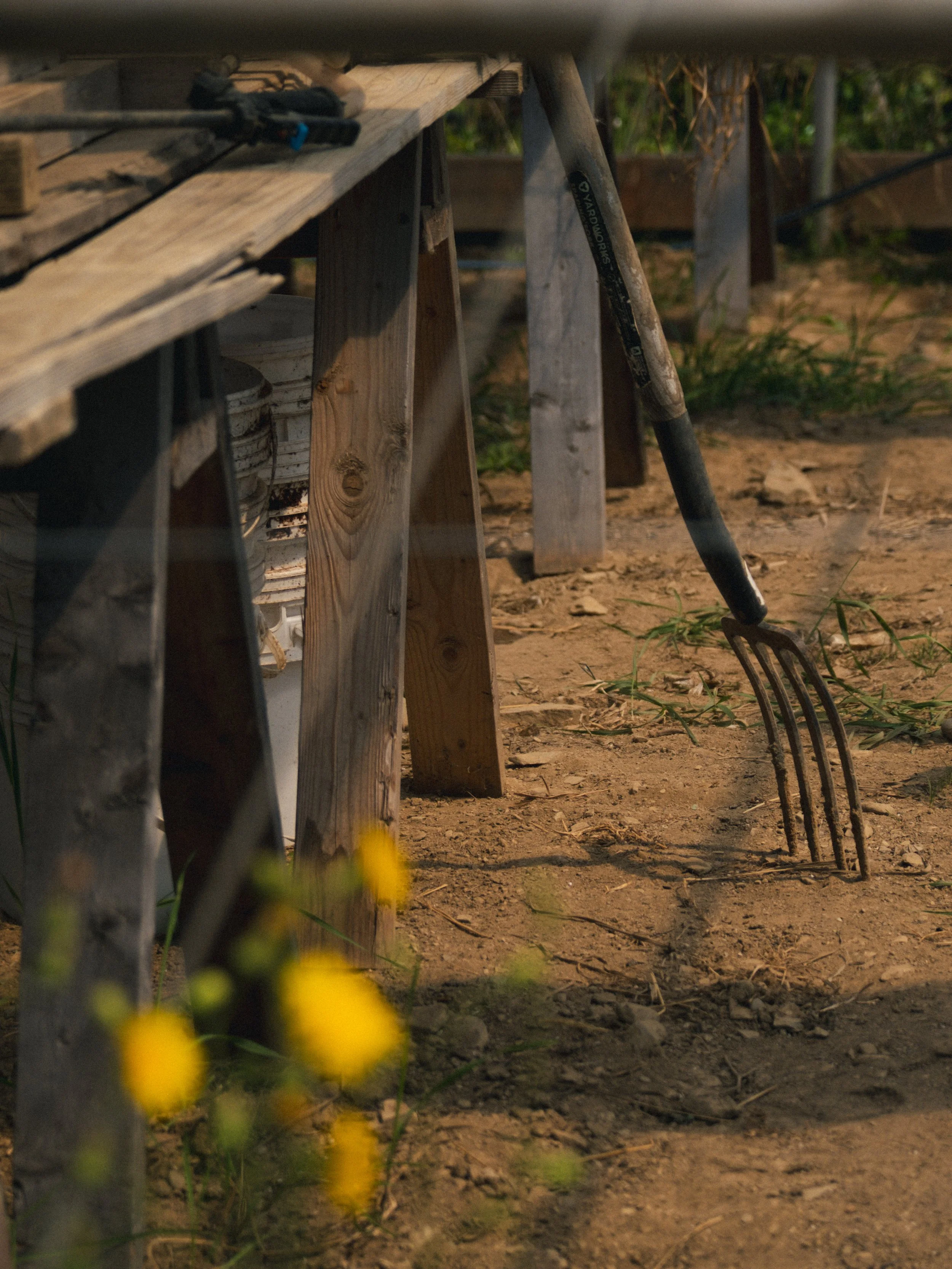 Une brouette en métal, une fourche, et une table en bois dans un jardin ou une ferme.