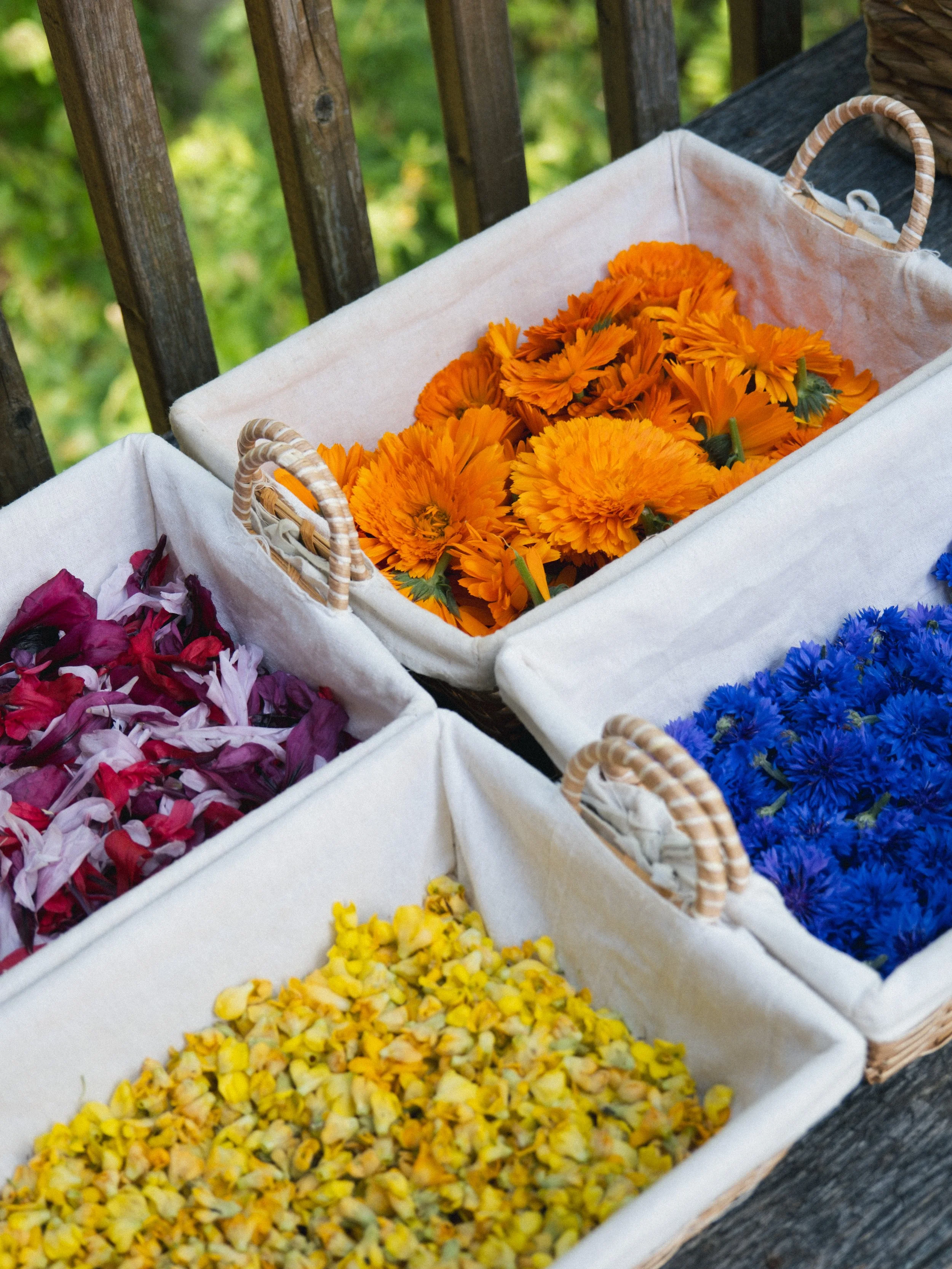 Un panier blanc rempli de pétales de fleurs jaunes, entouré de paniers contenant des fleurs de différentes couleurs comme des roses roses, des cosmos oranges, des asters bleus, et d'autres fleurs, posé sur une surface en bois