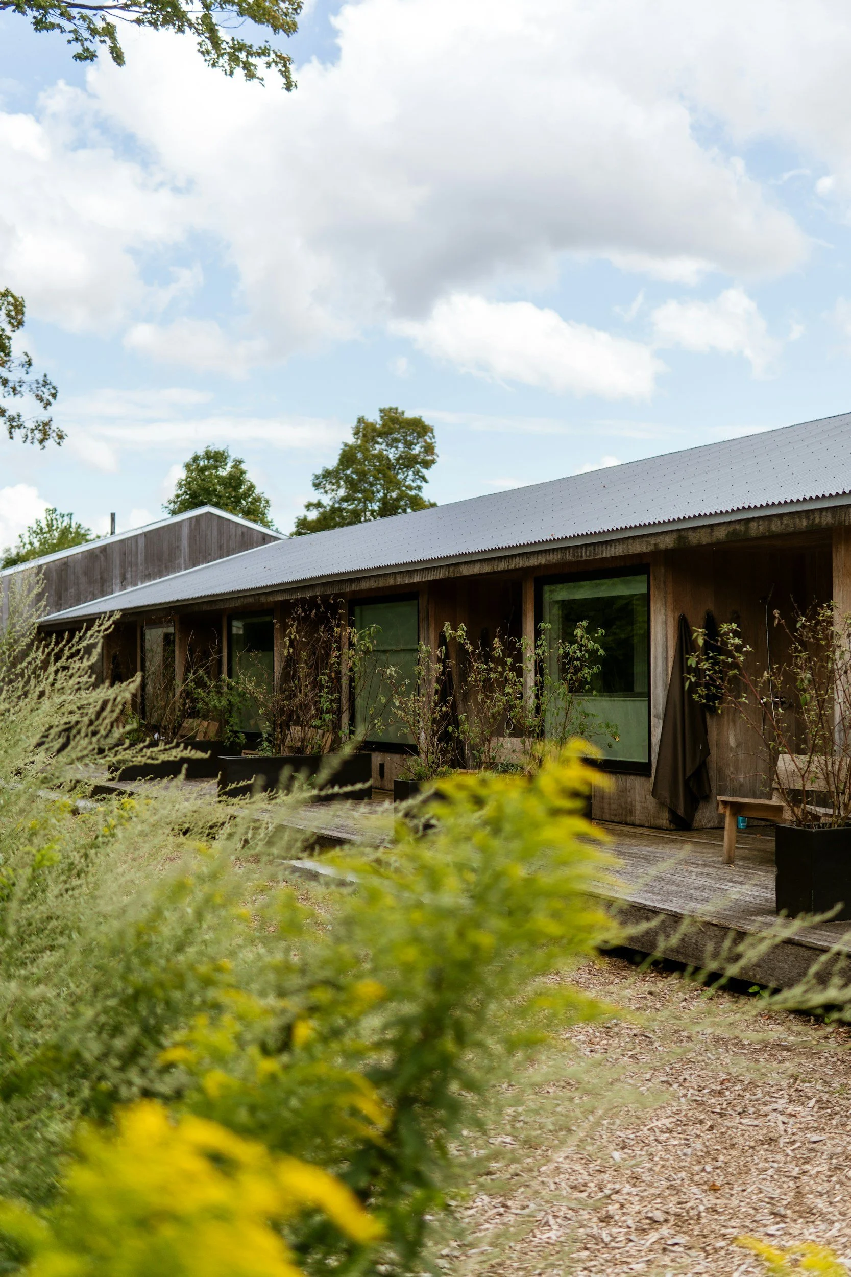 A modern wooden house with large windows, a gray metal roof, surrounded by greenery and trees, under a partly cloudy sky.