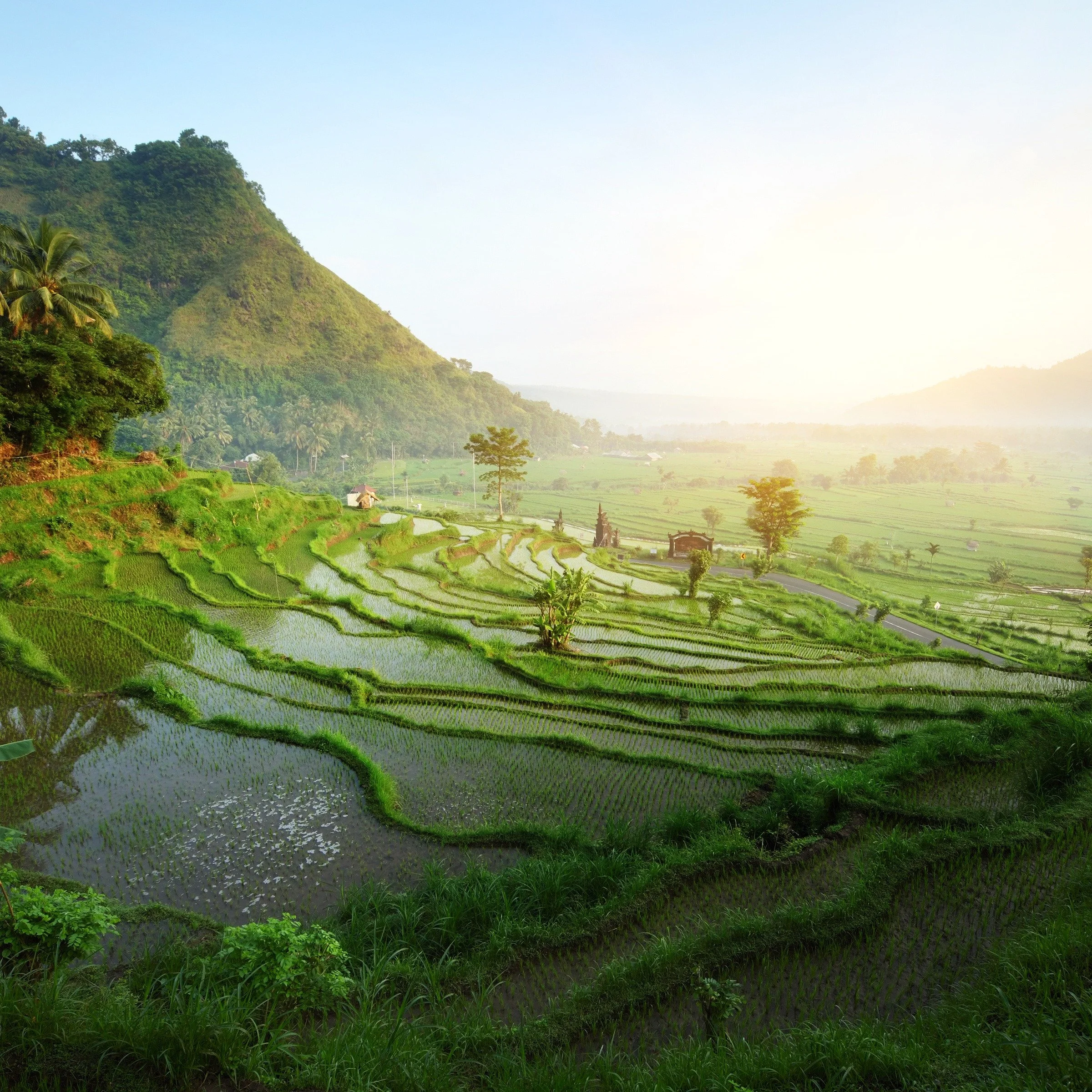 Bali... where the ancient and the new sit comfortably side by side.

At sunrise, beyond the terraces, balance runs through the island... misty highlands in Ubud, surf towns like Canggu and Uluwatu, quiet black-sand coastlines to the east, and daily o