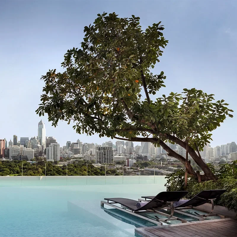 Infinity pool with sun loungers and a shade tree overlooking a city skyline across the water.