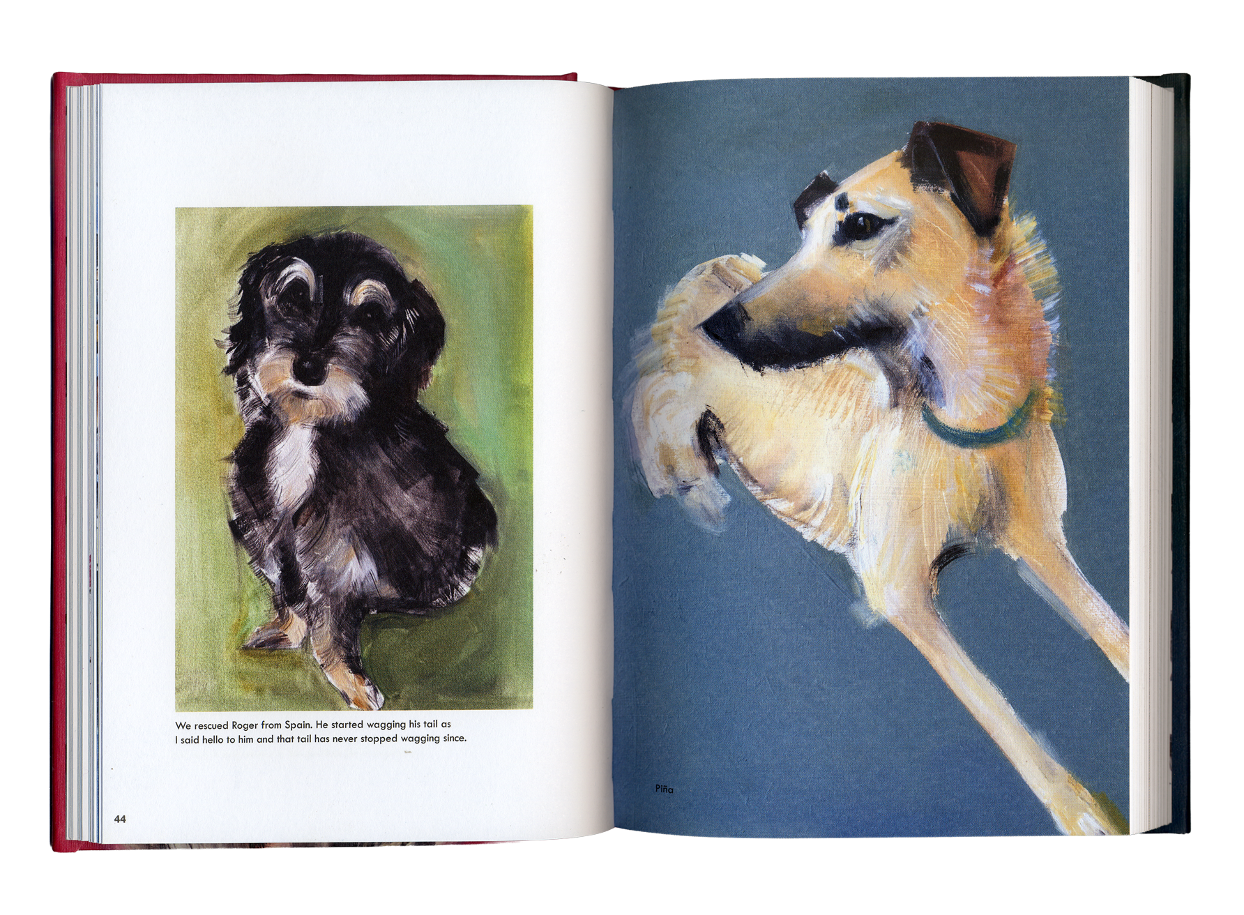 Rescue-Dogs-Spread-4.png