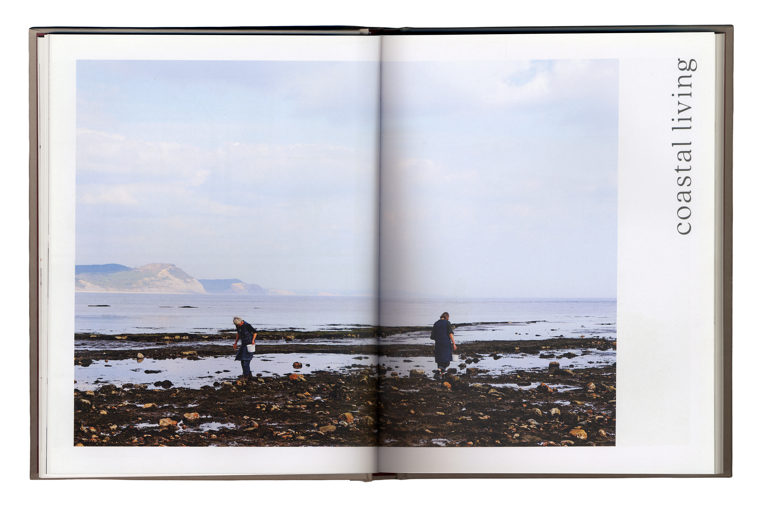 Seaweed-Spread-1.png