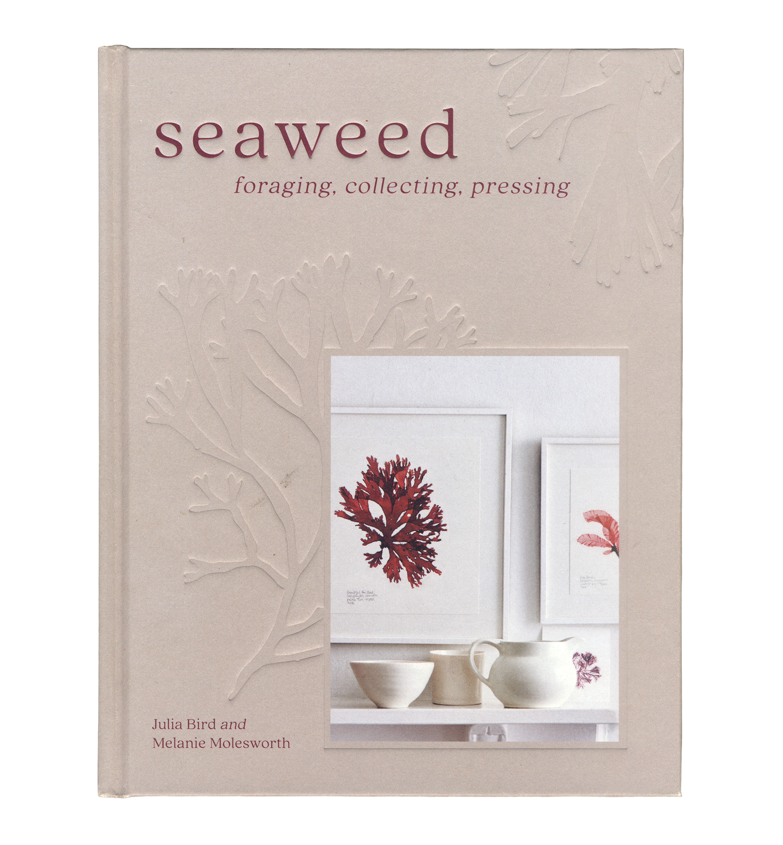 Seaweed-Cover.png