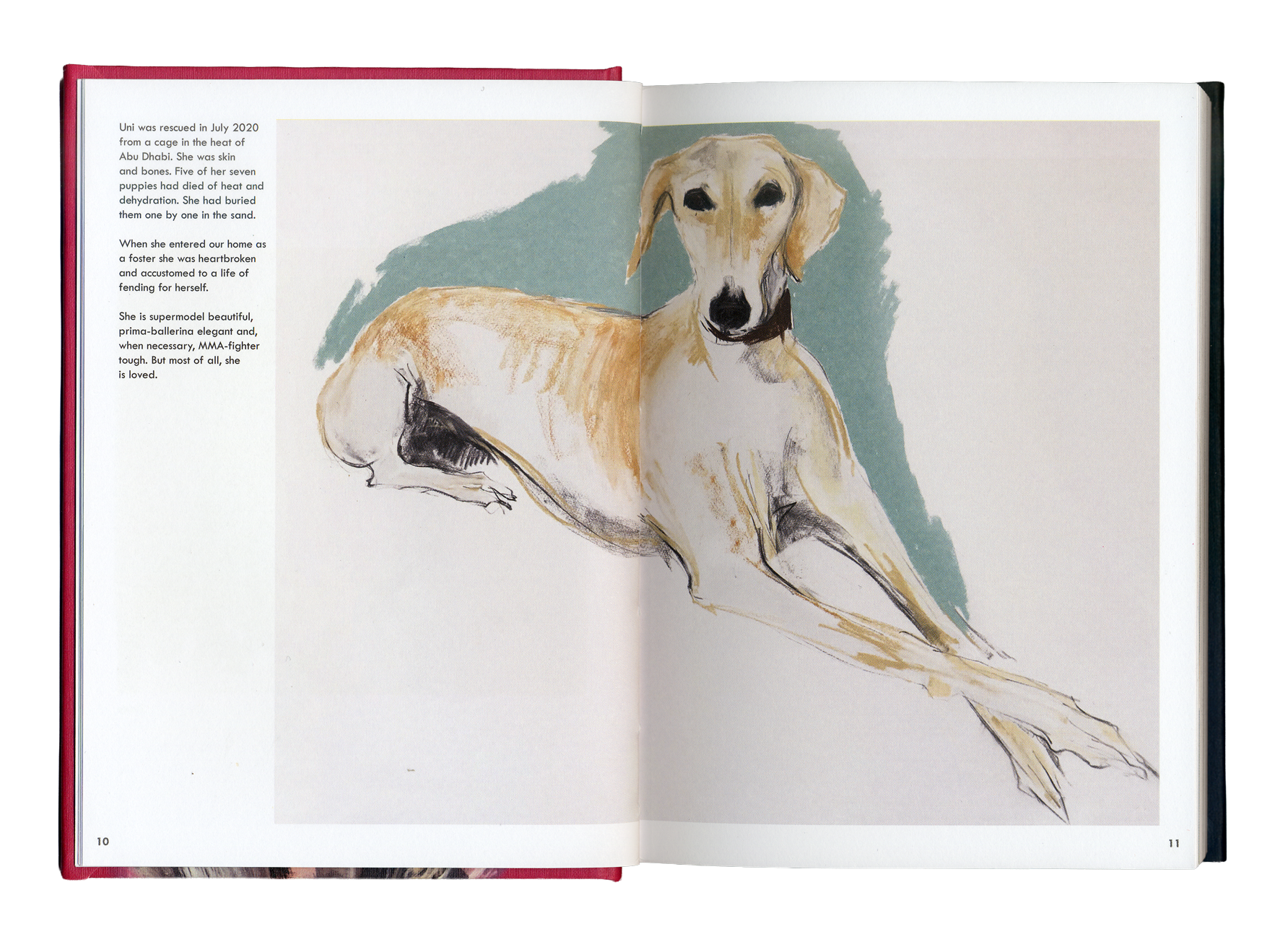 Rescue-Dogs-Spread-2.png