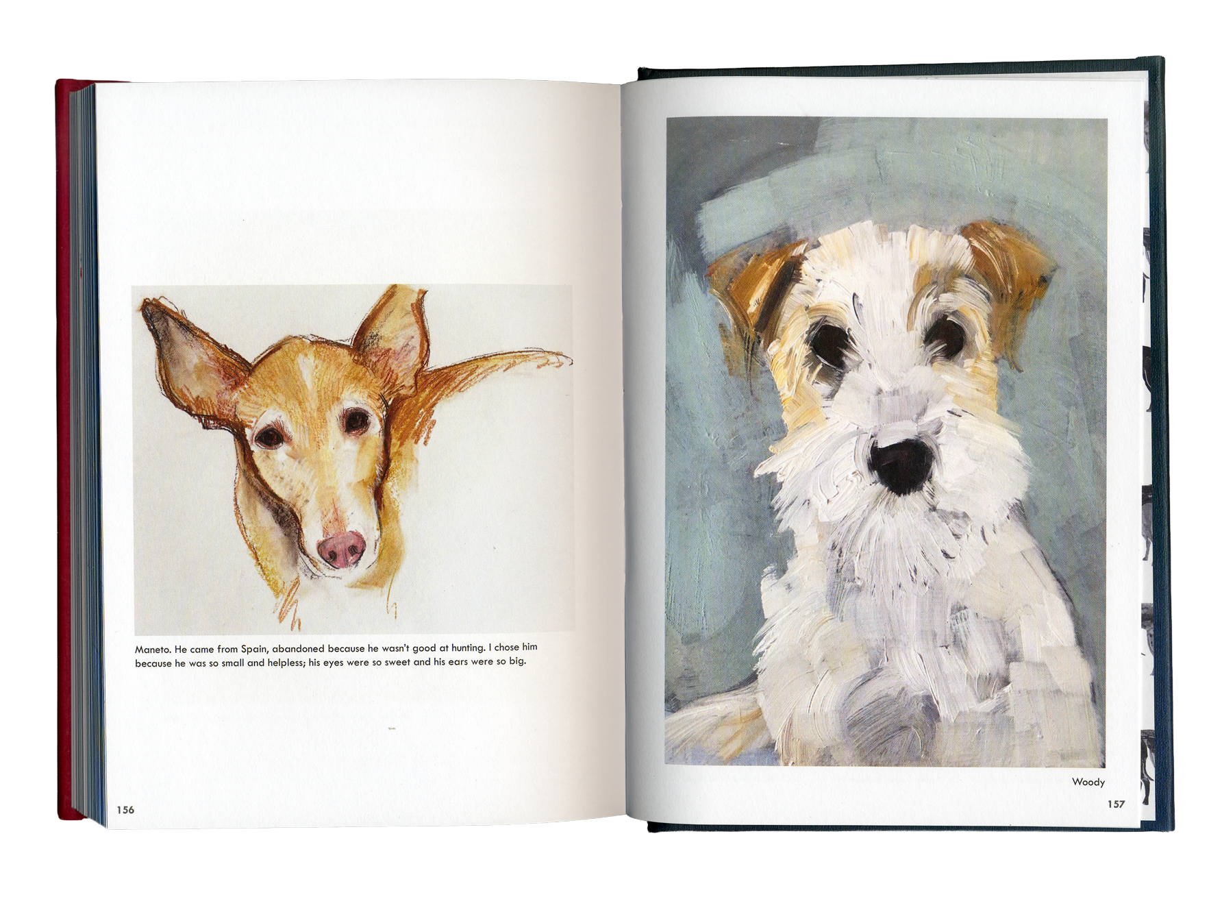 Rescue-Dogs-Spread-6.png