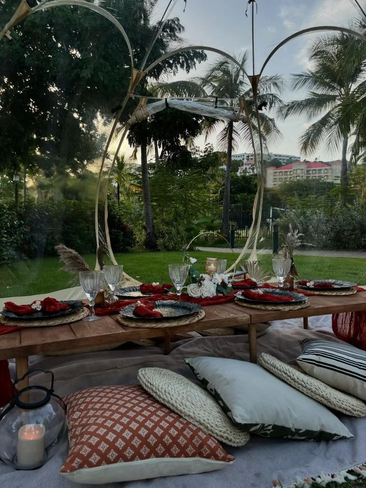 A table setup outdoors on a grassy area with a wooden table and elegant glassware, surrounded by cushions and pillows, under a canopy with tropical trees in the background.