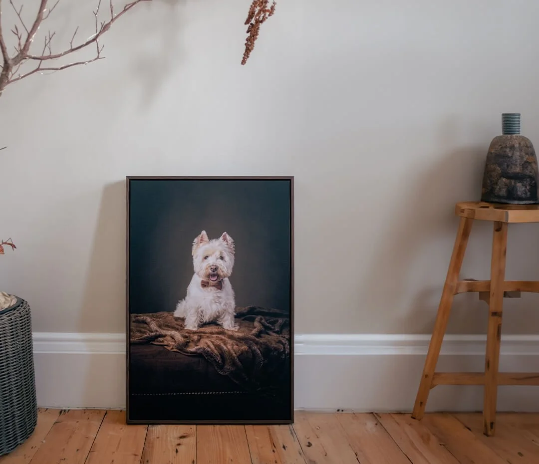 Framed photograph of a white dog with a bowtie on a blanket, leaning forward, placed on the floor leaning against the wall. A wooden stool with a rock sculpture on top is to the right, a basket with a plant on the left, and a tree branch hanging from above.