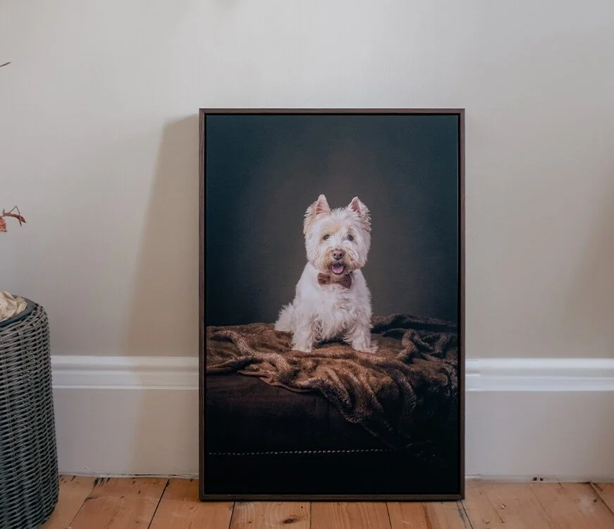 Sean Lonsdale Photography Canvas Tray