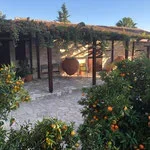 Garden with a pergola, orange trees, and a large spherical sculpture in the background under a clear blue sky.