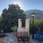 Outdoor patio area with stone fireplace, surrounded by trees and mountains in the background.