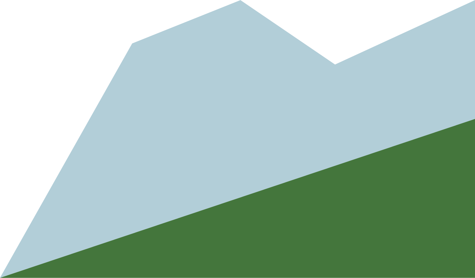 Illustrazione stilizzata di una montagna e di un prato