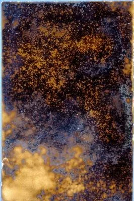 Strindberg, Célestographie, photogramme, Dornach, Autriche, 1893/94, 12x9cm, coll. Strindbergmusset.