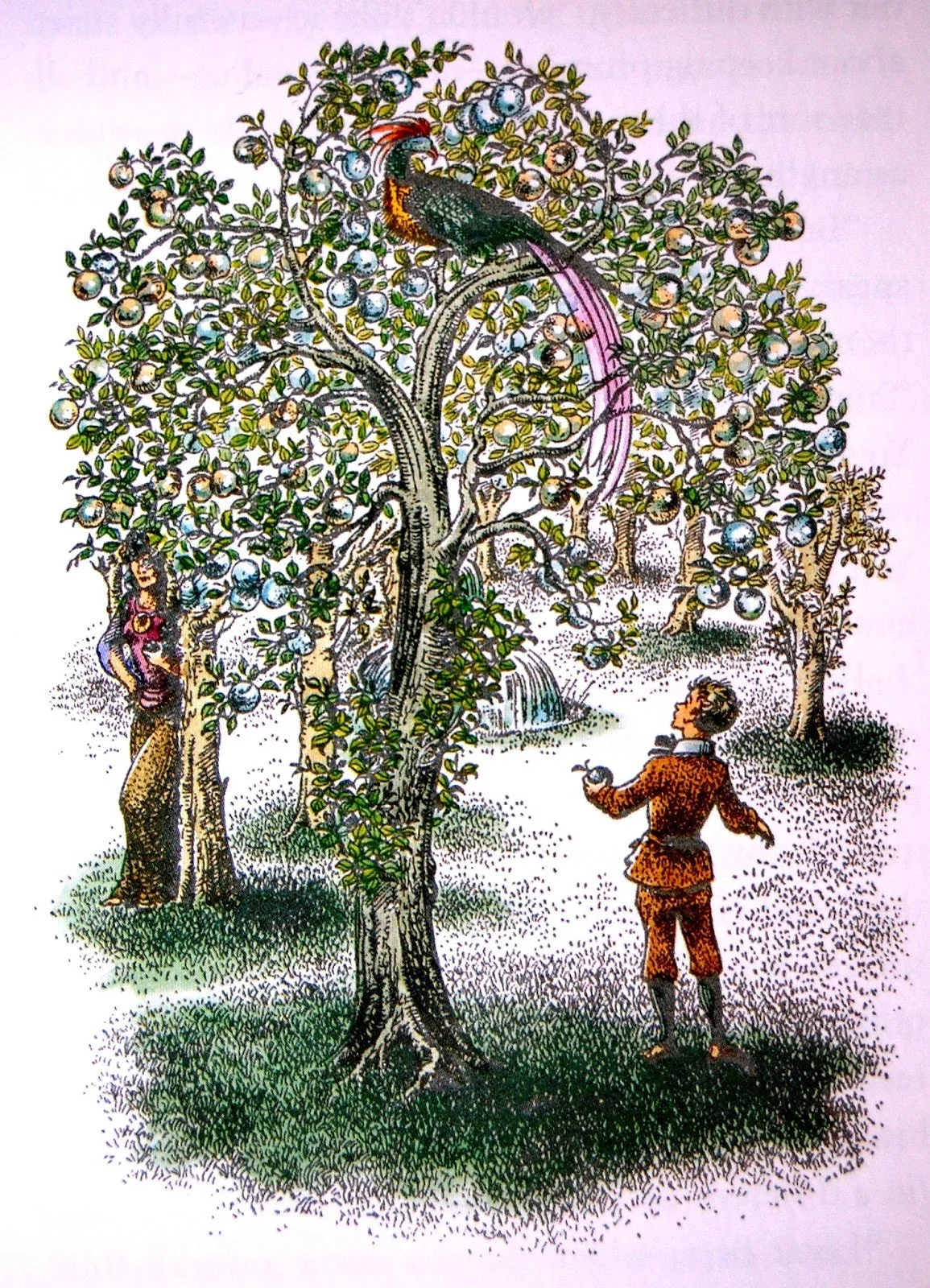 Pauline baynes narnia illustrations.JPG