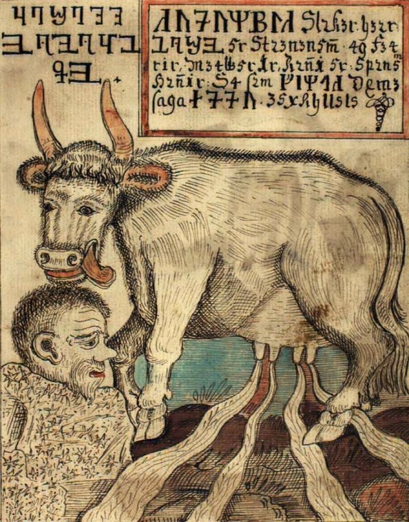 La vache primordiale Audumla dont le lait nourrit le géant Ymir, manuscrit islandais du XVIIIe siècle.