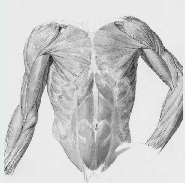 The Connective Tissue of Performance