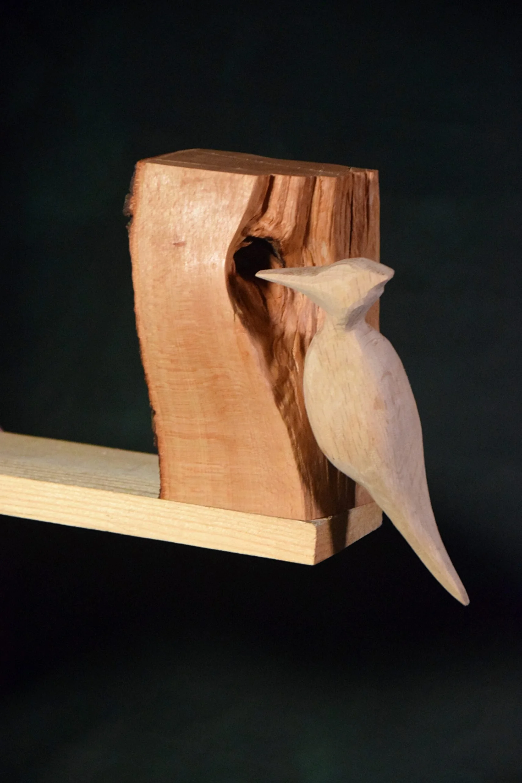 The Woodpecker