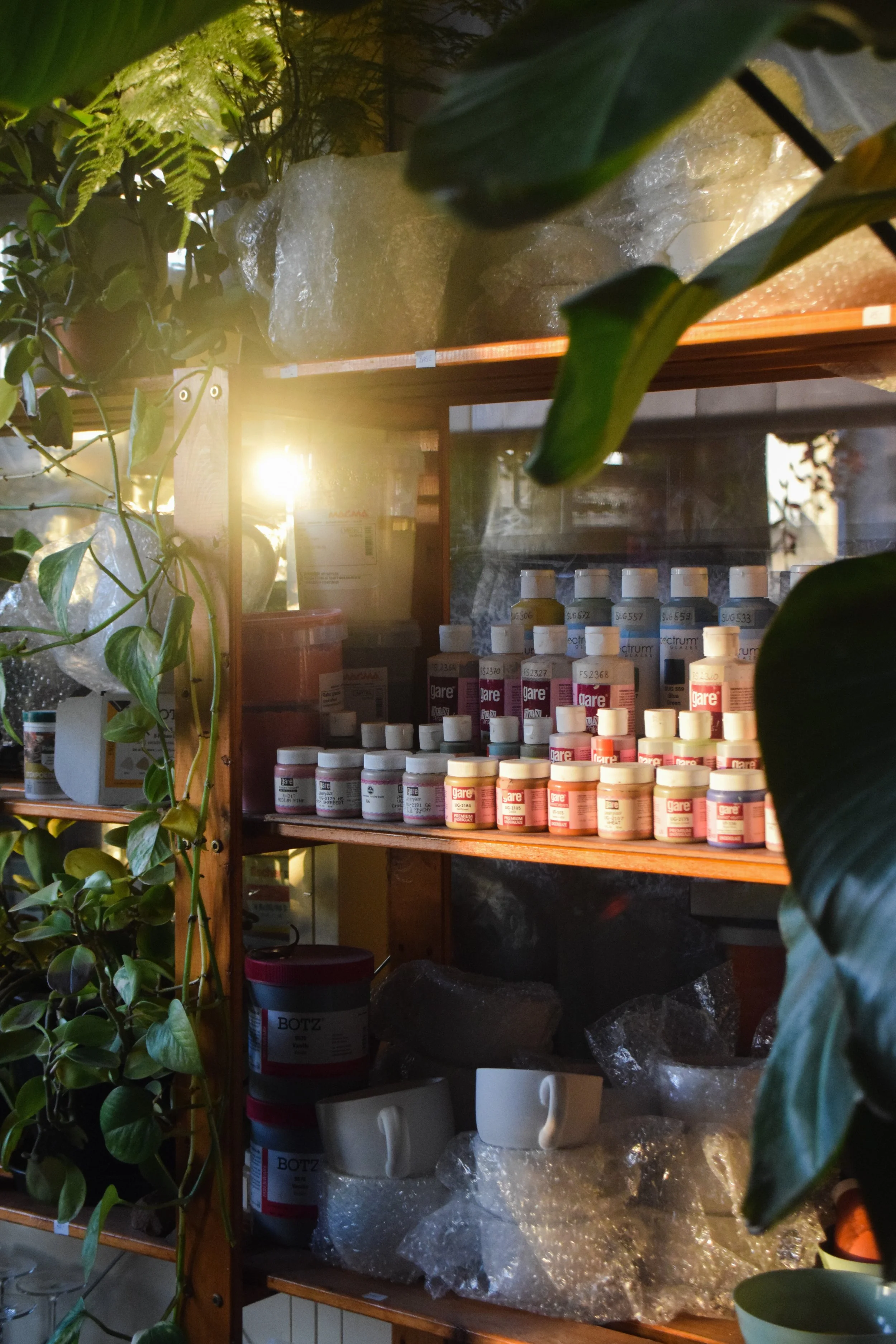 A wooden shelf holding various bottles of medicine, mugs, and plastic wrapping, surrounded by green plants with sunlight streaming in from the left.