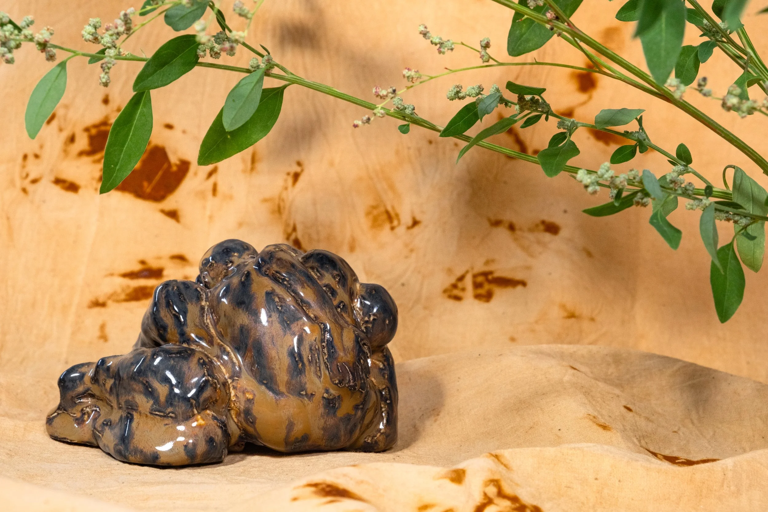 A ceramic sculpture of a bear, with a glossy glazed surface in dark brown and black tones, placed on a wooden surface with a textured background.