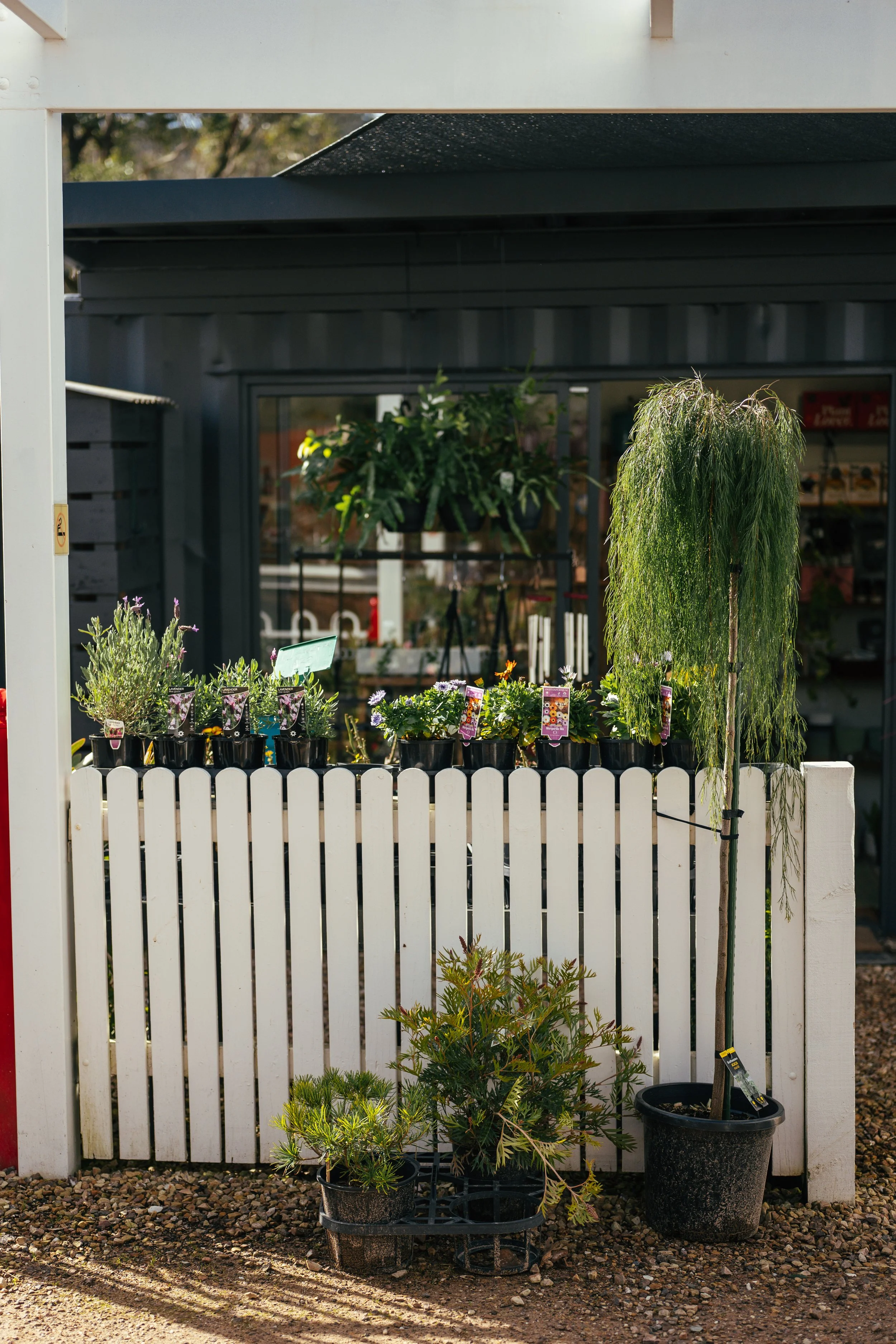 20260806_GATHER-8415.jpg