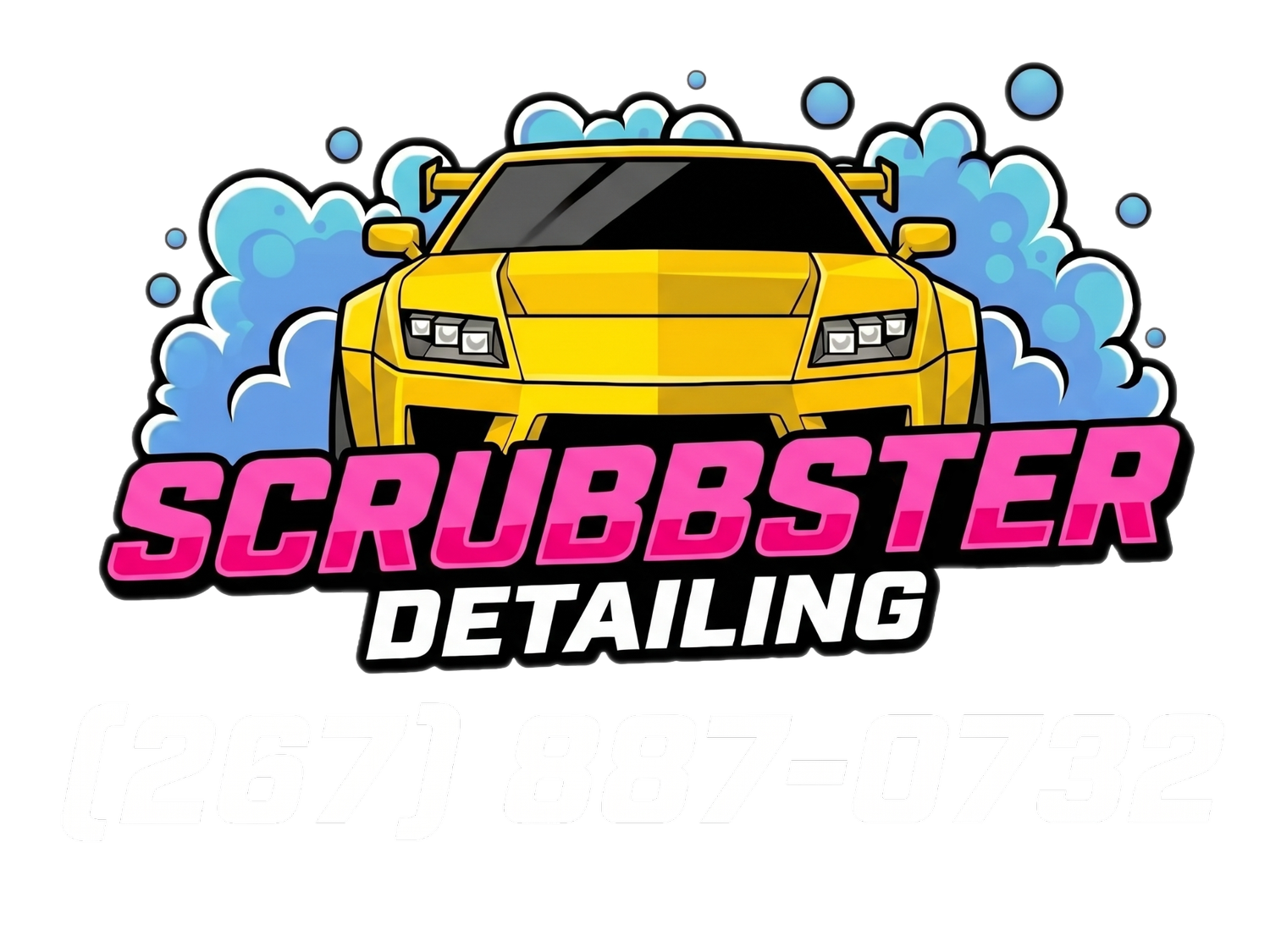Scrubbster Detailing