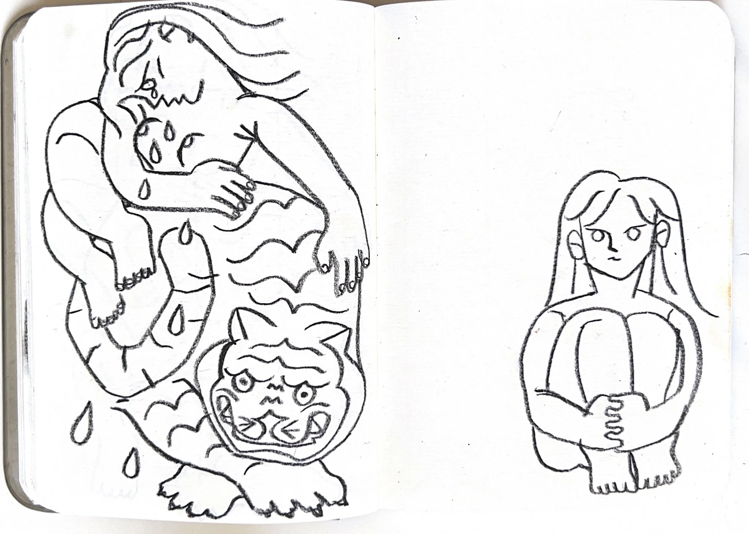 From the animals sketchbook 