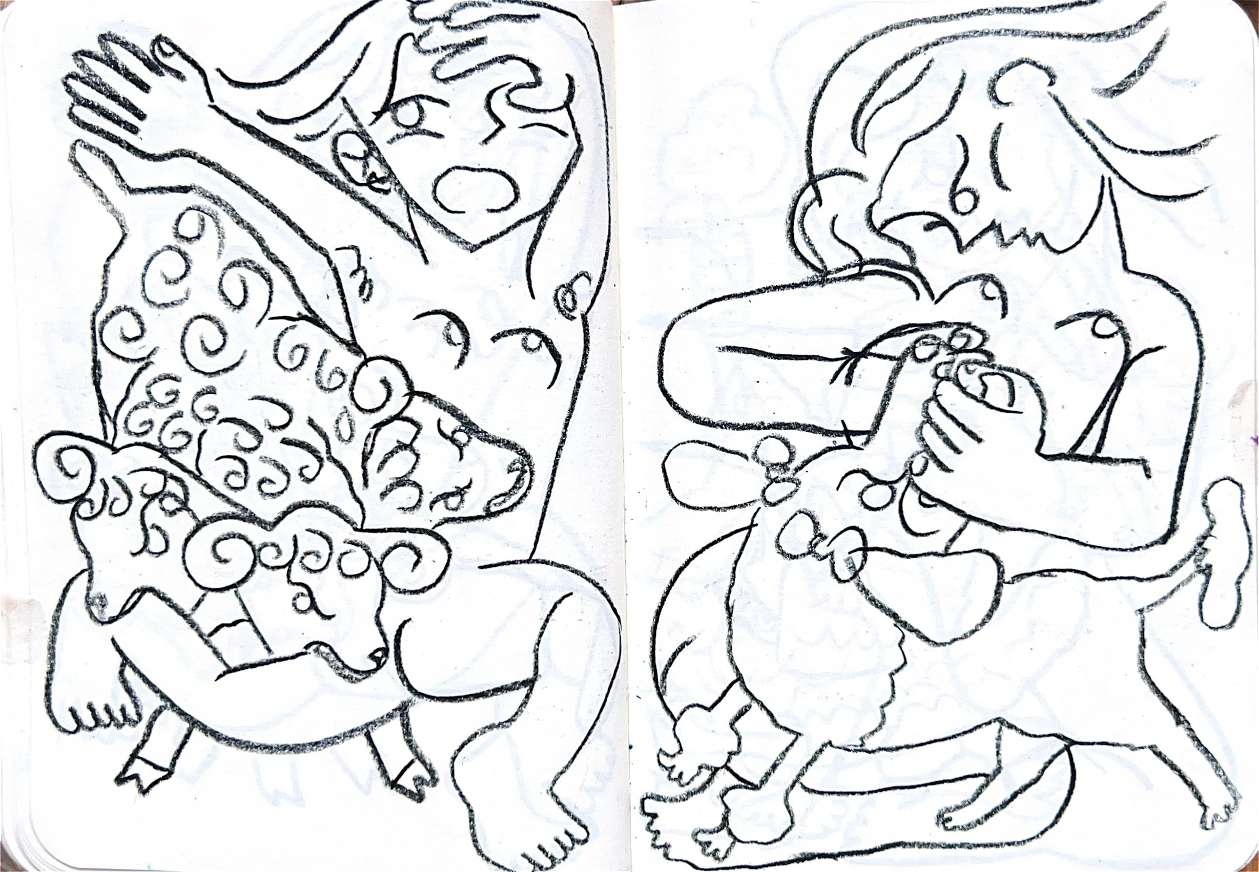 From the animals sketchbook 