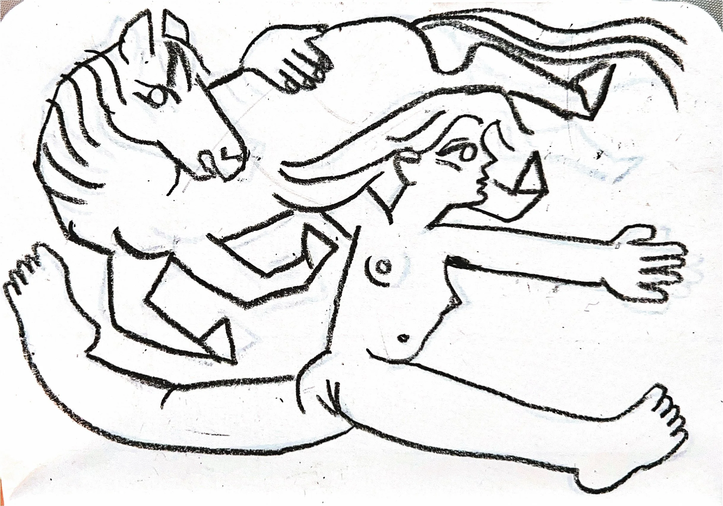 From the animals sketchbook 