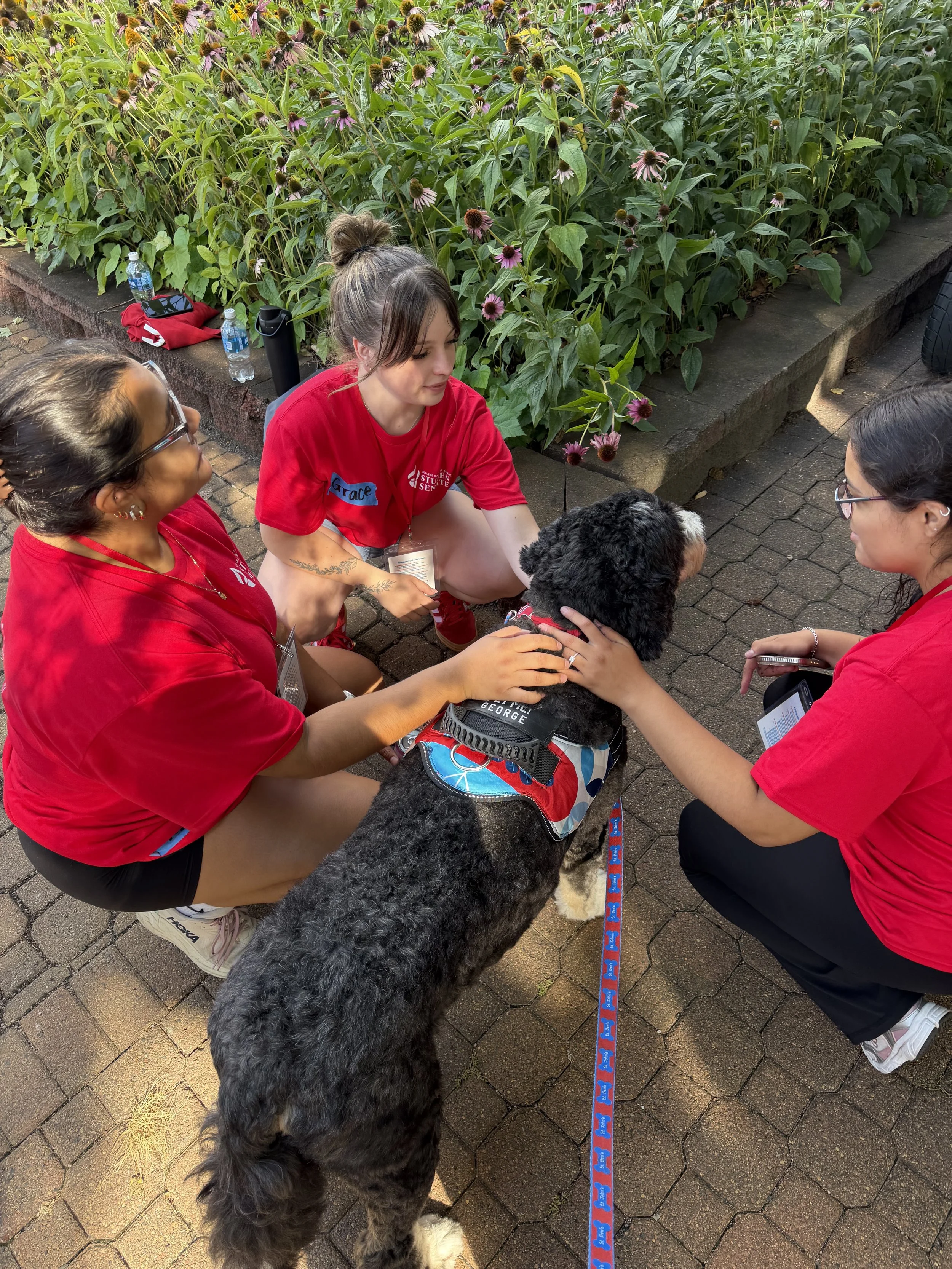 George being pet by students