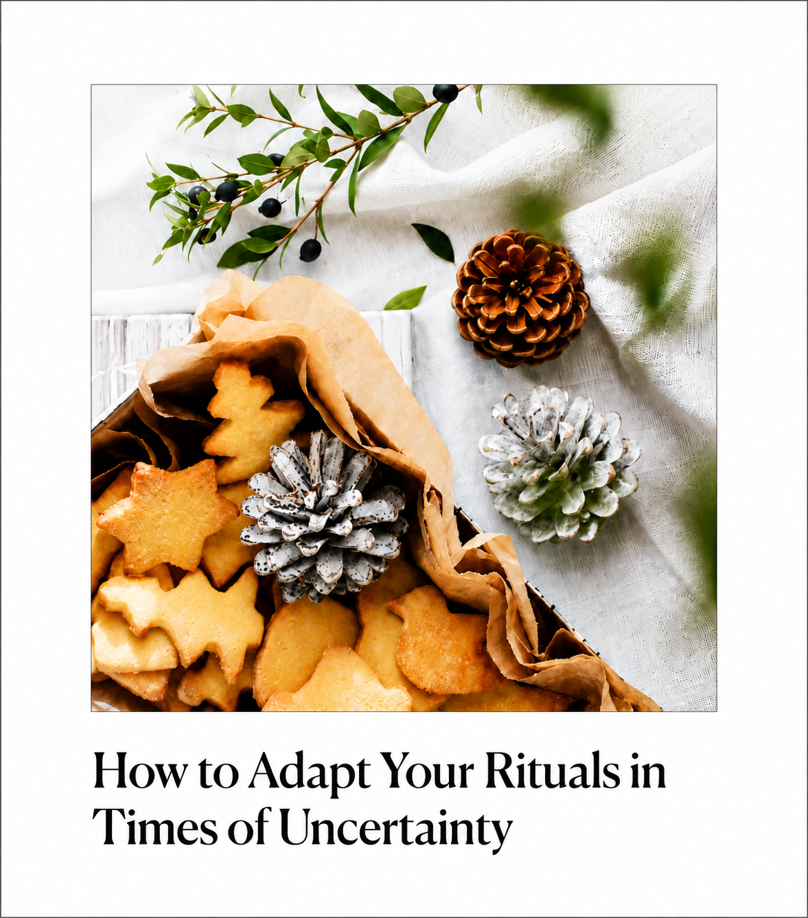 Wit & Delight: How to Adapt Your Rituals in Times of Uncertainty by Carol Bruess