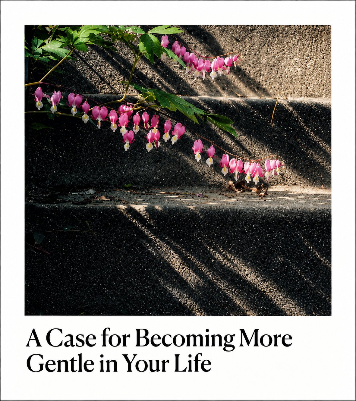 Wit and Delight: A Case for Becoming More Gentle in Your Life by Carol Bruess