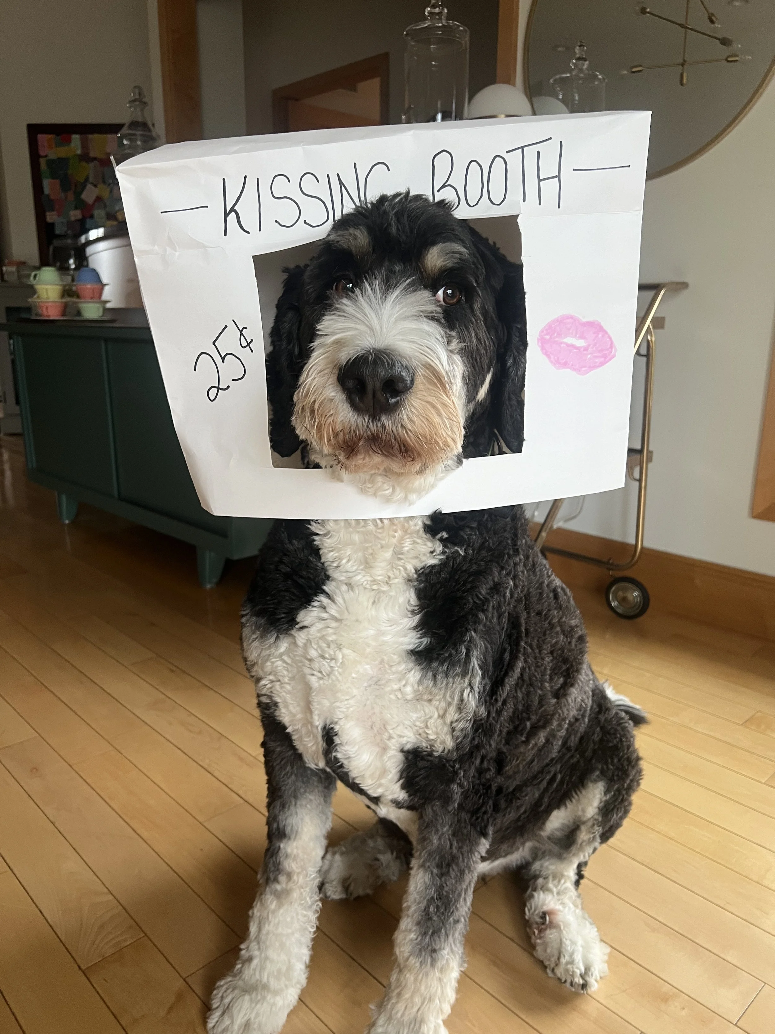 George kissing booth