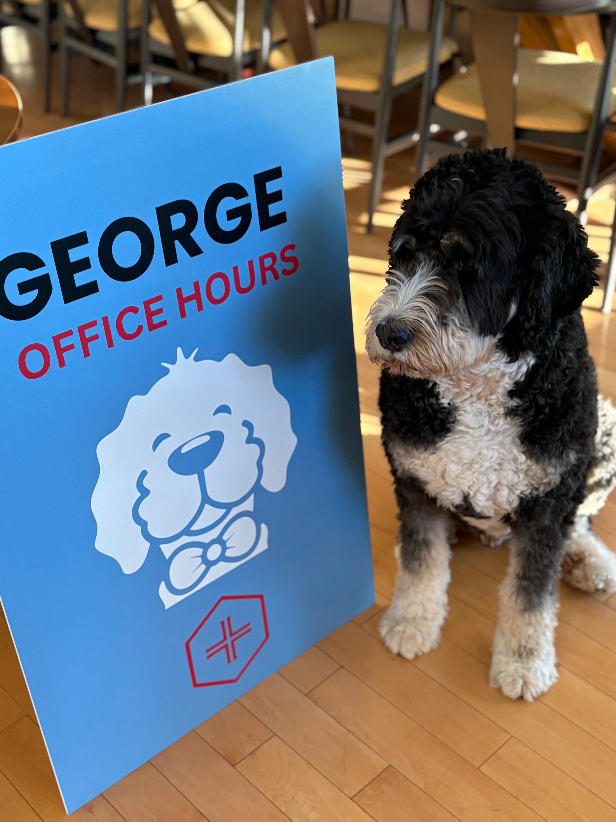 George standing next to a "George office hours" sign.