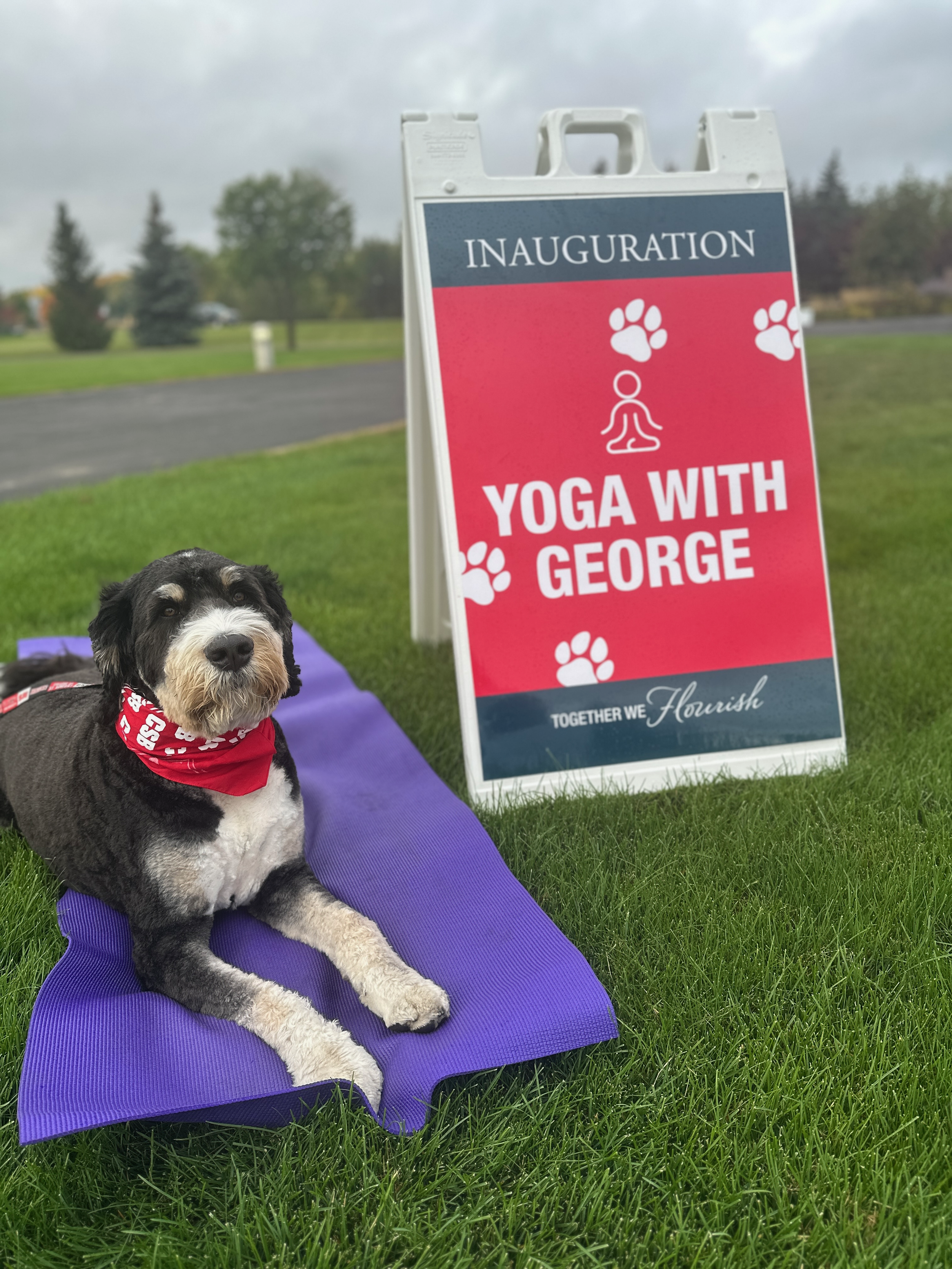 Yoga with George