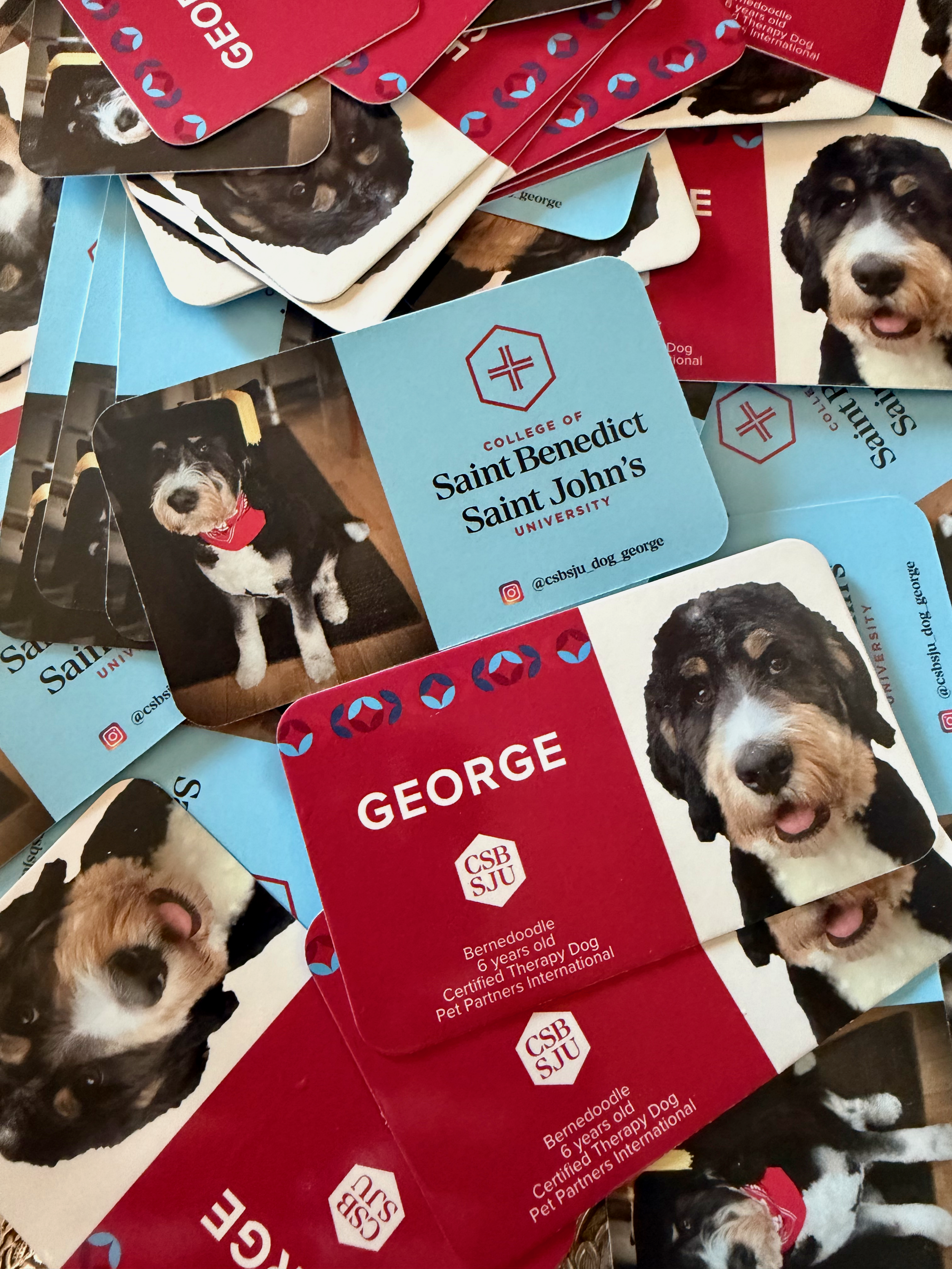 George business cards laid out.