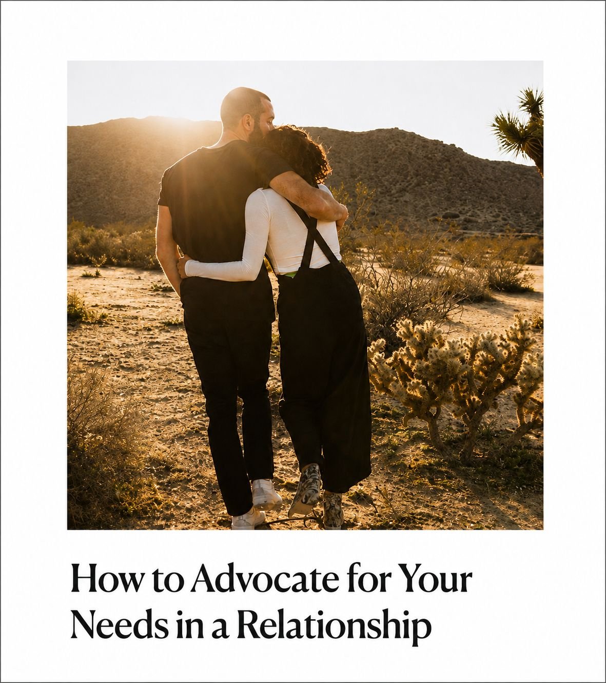 Wit & Delight: How to Advocate for Your Needs in a Relationship by Carol Bruess