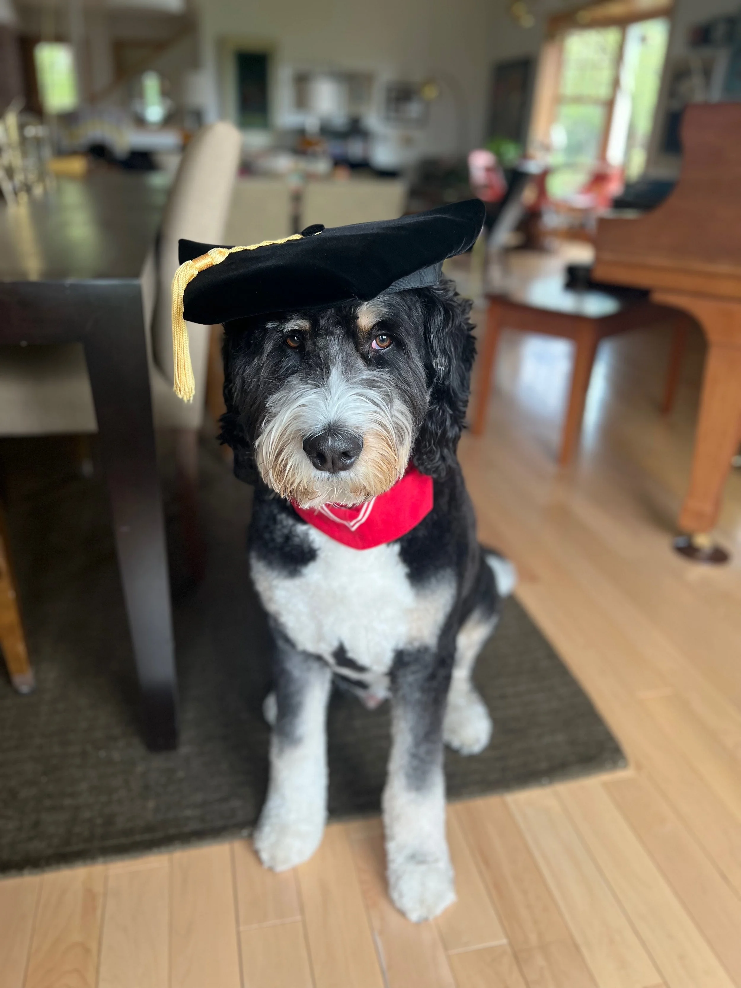 George graduating