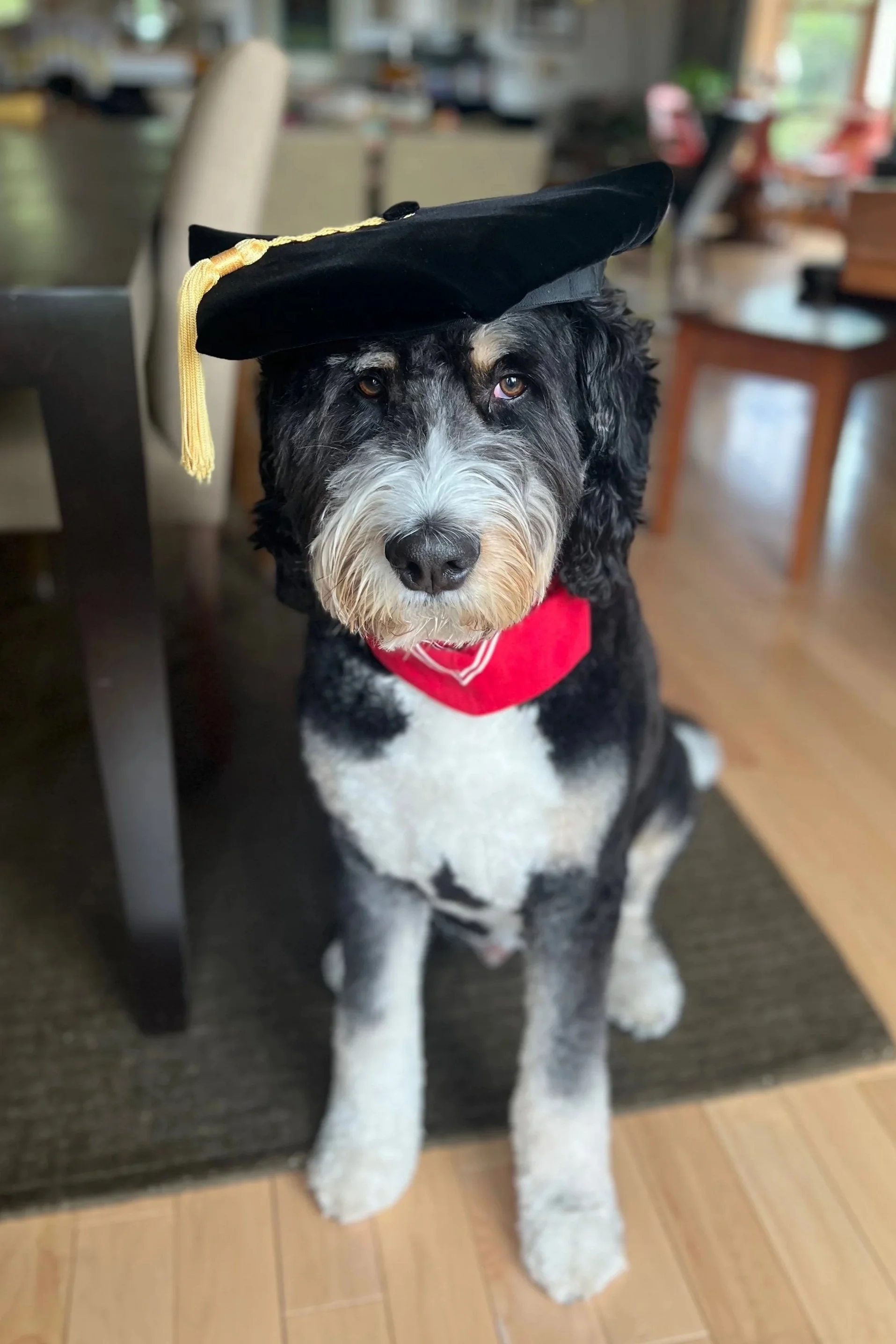 George Wearing a Graduation Cap